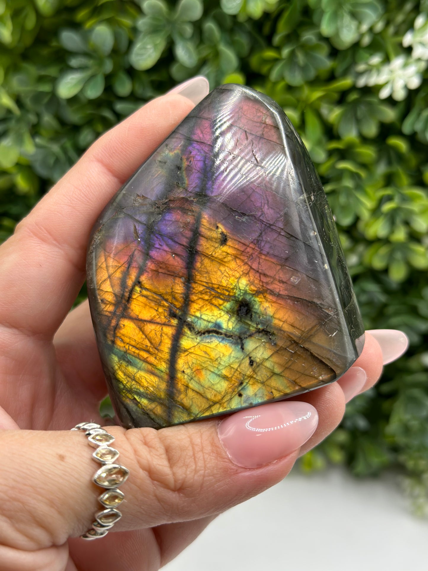 Labradorite FREEFORM