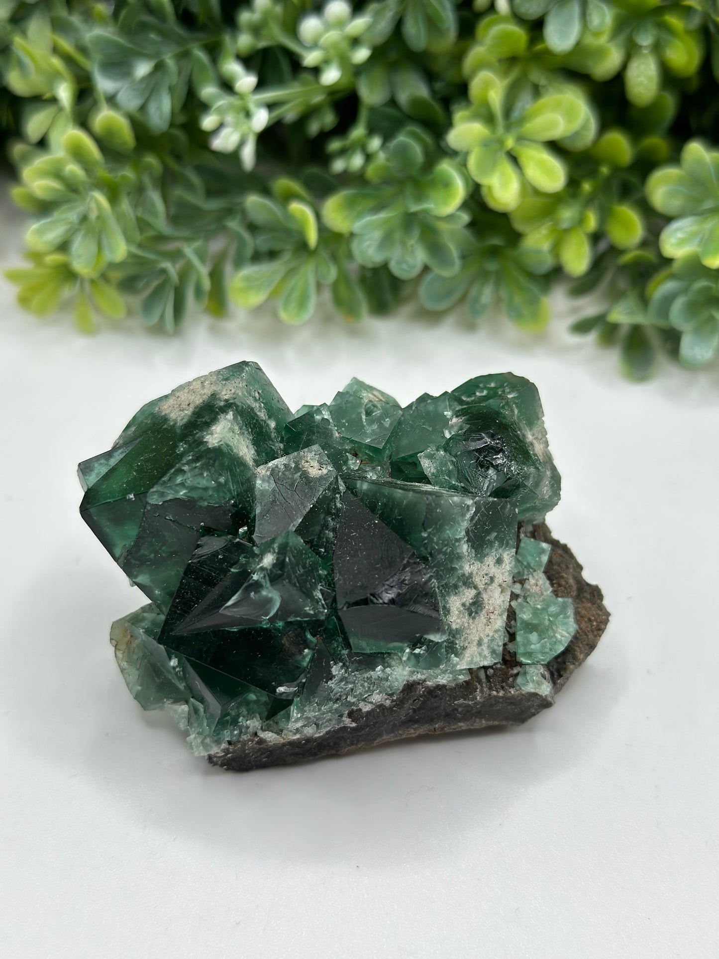Fluorite Heavy Metal Pocket, Diana Maria Mine, Frosterley, Weardale Co. Durham, England
