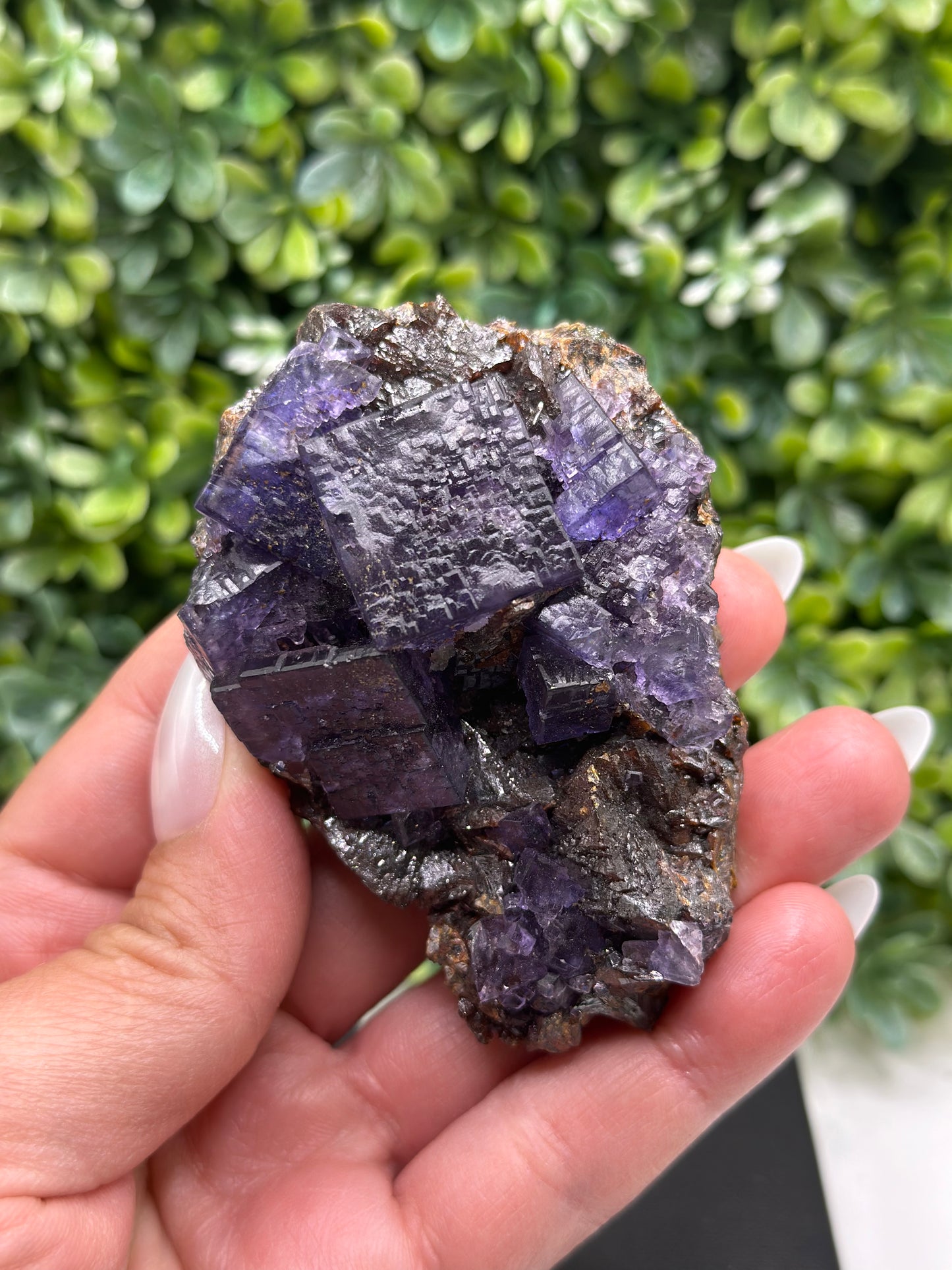 Fluorite with Sphalerite Gordonsville-Elmwood Mine, Tennessee