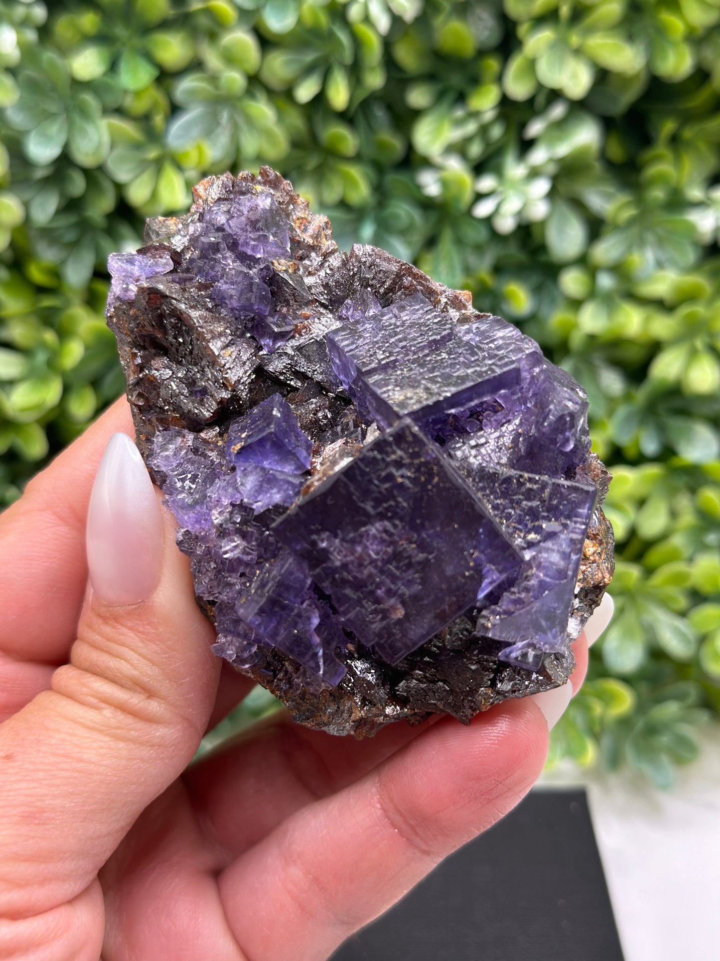 Fluorite with Sphalerite Gordonsville-Elmwood Mine, Tennessee