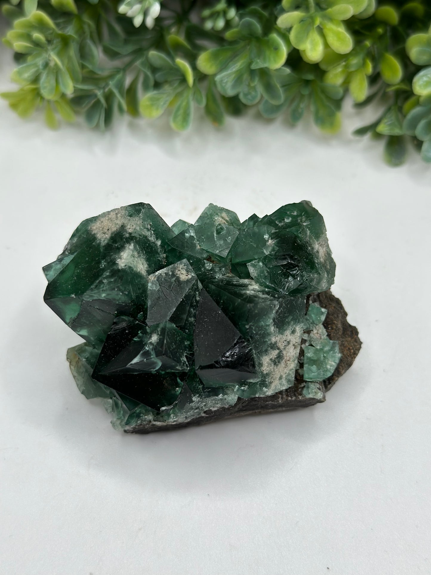 Fluorite Heavy Metal Pocket, Diana Maria Mine, Frosterley, Weardale Co. Durham, England