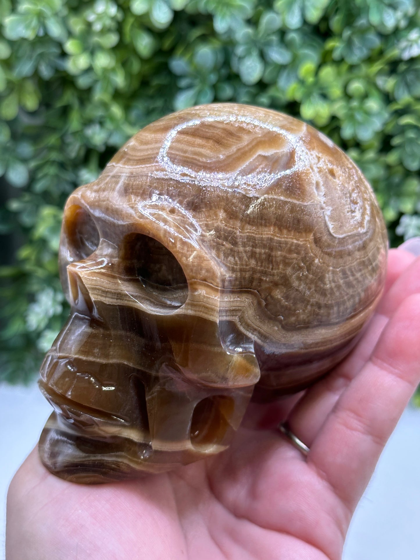 Chocolate Onyx Skull made in Mexico