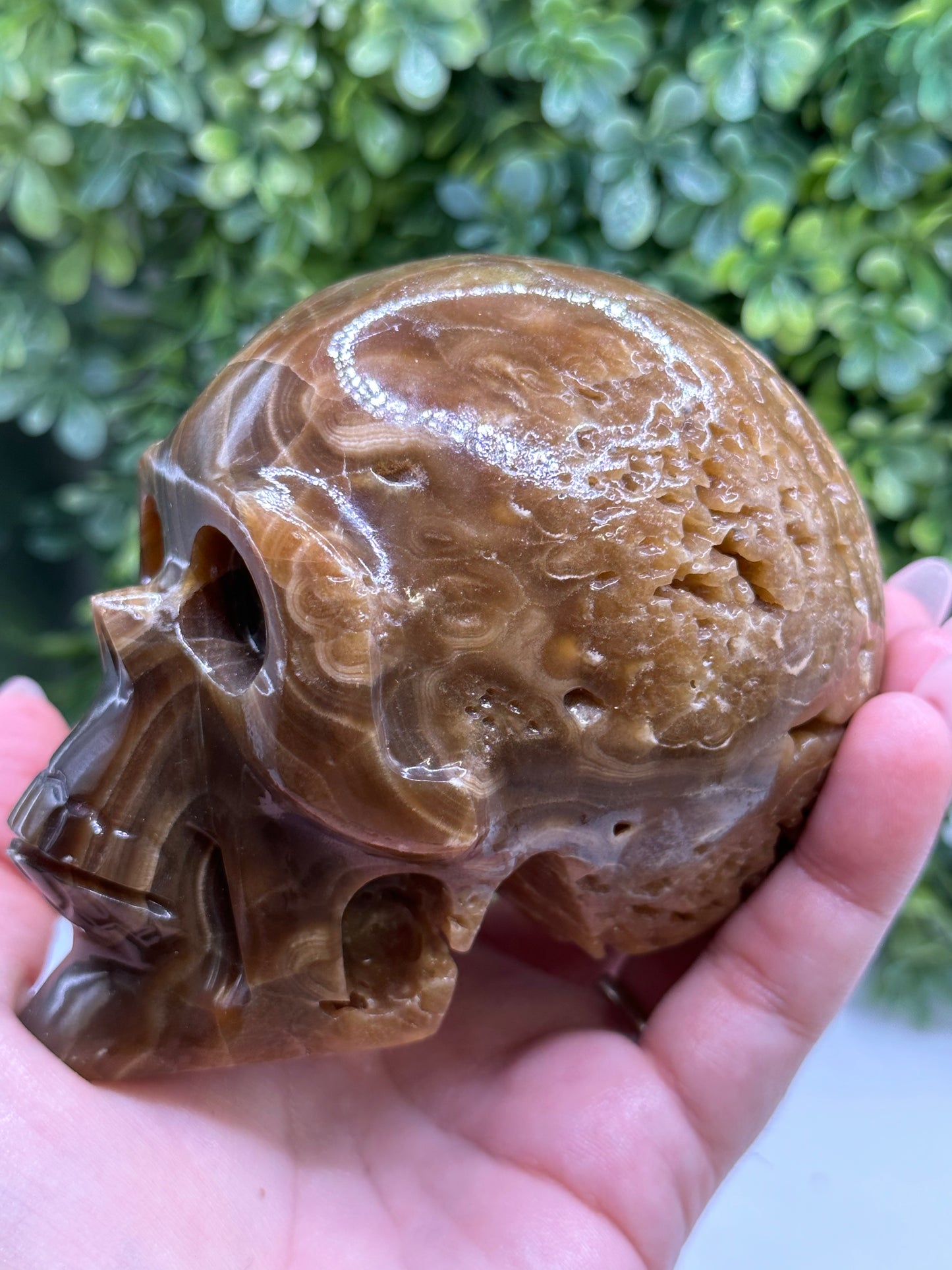 Chocolate Onyx Skull made in Mexico