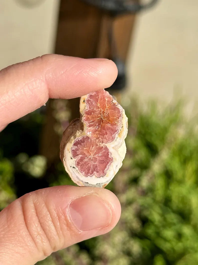 Rhodochrosite 1980's collection, Argentina