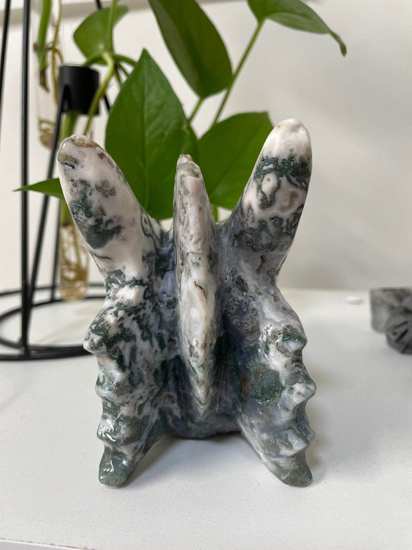 Tree Agate Dragon Crystal