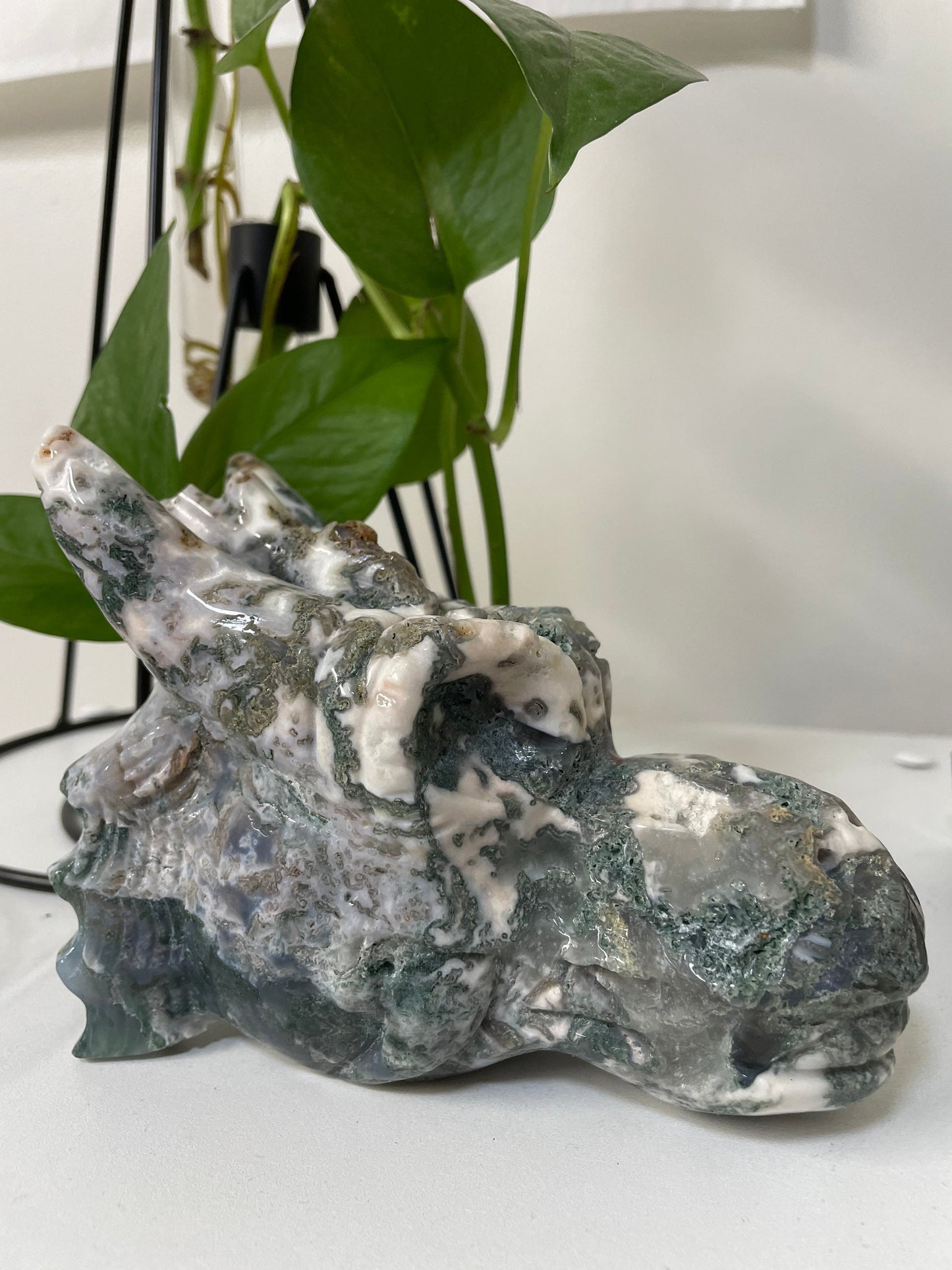Tree Agate Dragon Crystal