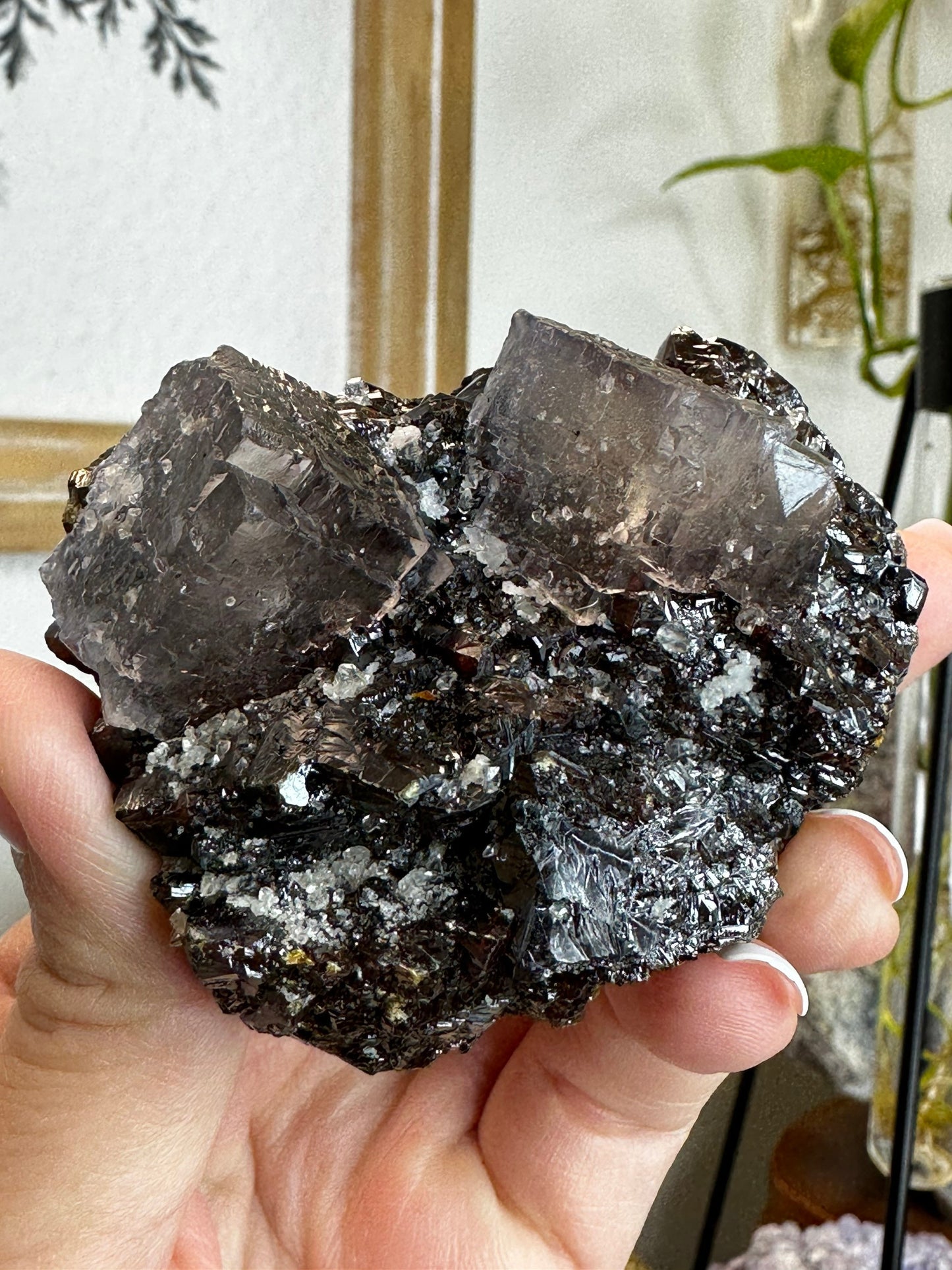 Sphalerite and Fluorite From the Elmwood Mine in Carthage Co, Tennessee