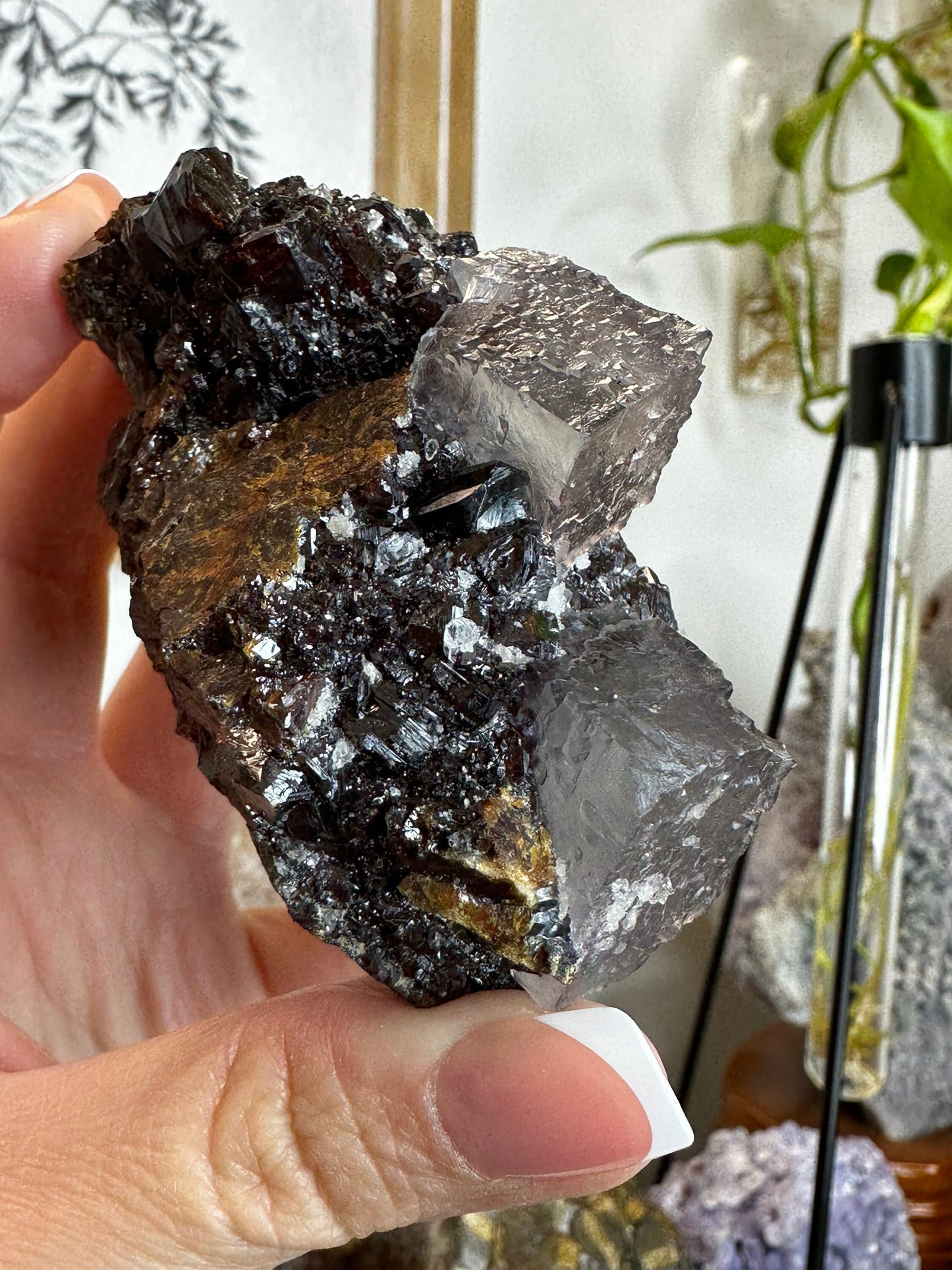 Sphalerite and Fluorite From the Elmwood Mine in Carthage Co, Tennessee