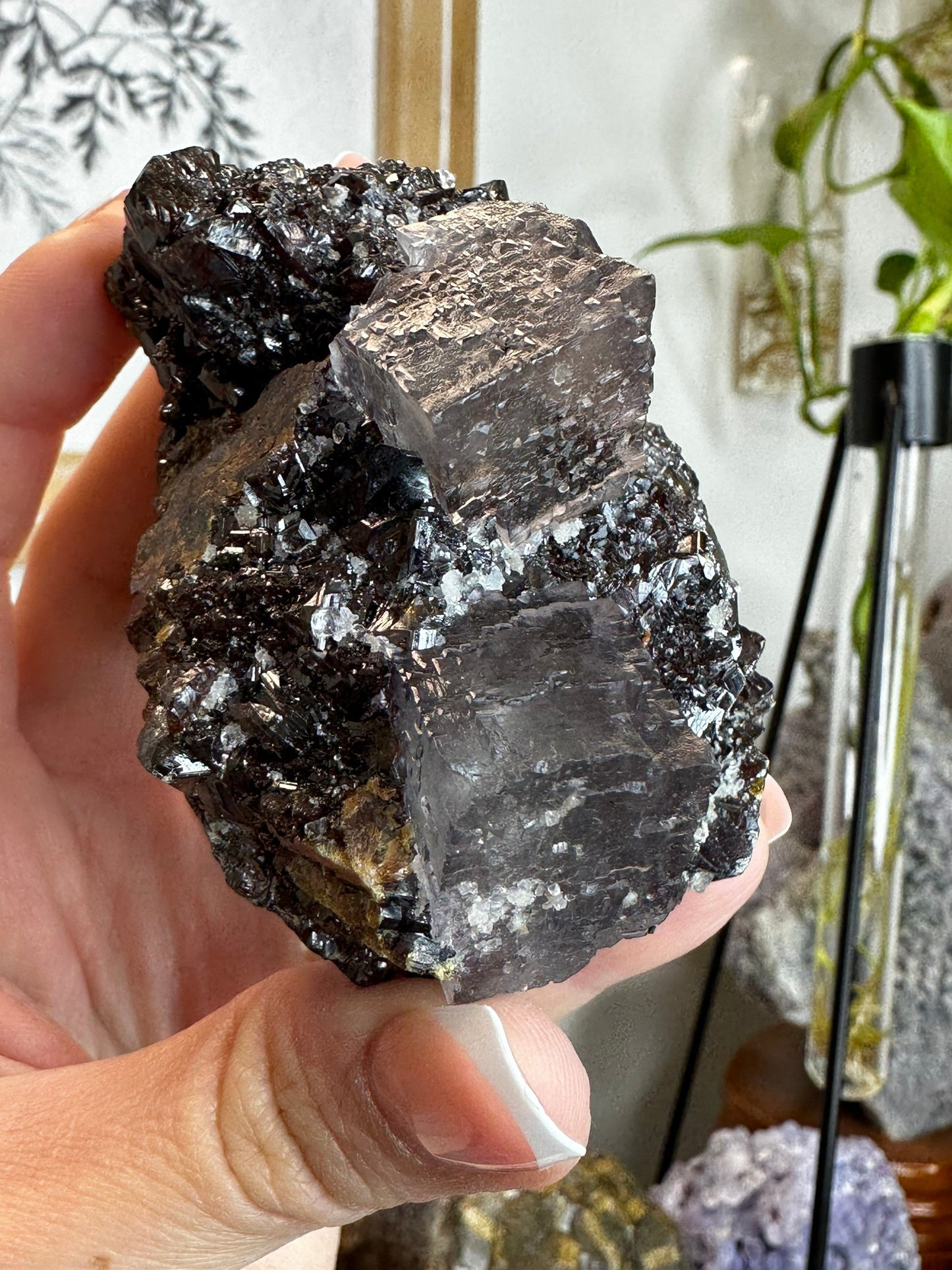 Sphalerite and Fluorite From the Elmwood Mine in Carthage Co, Tennessee