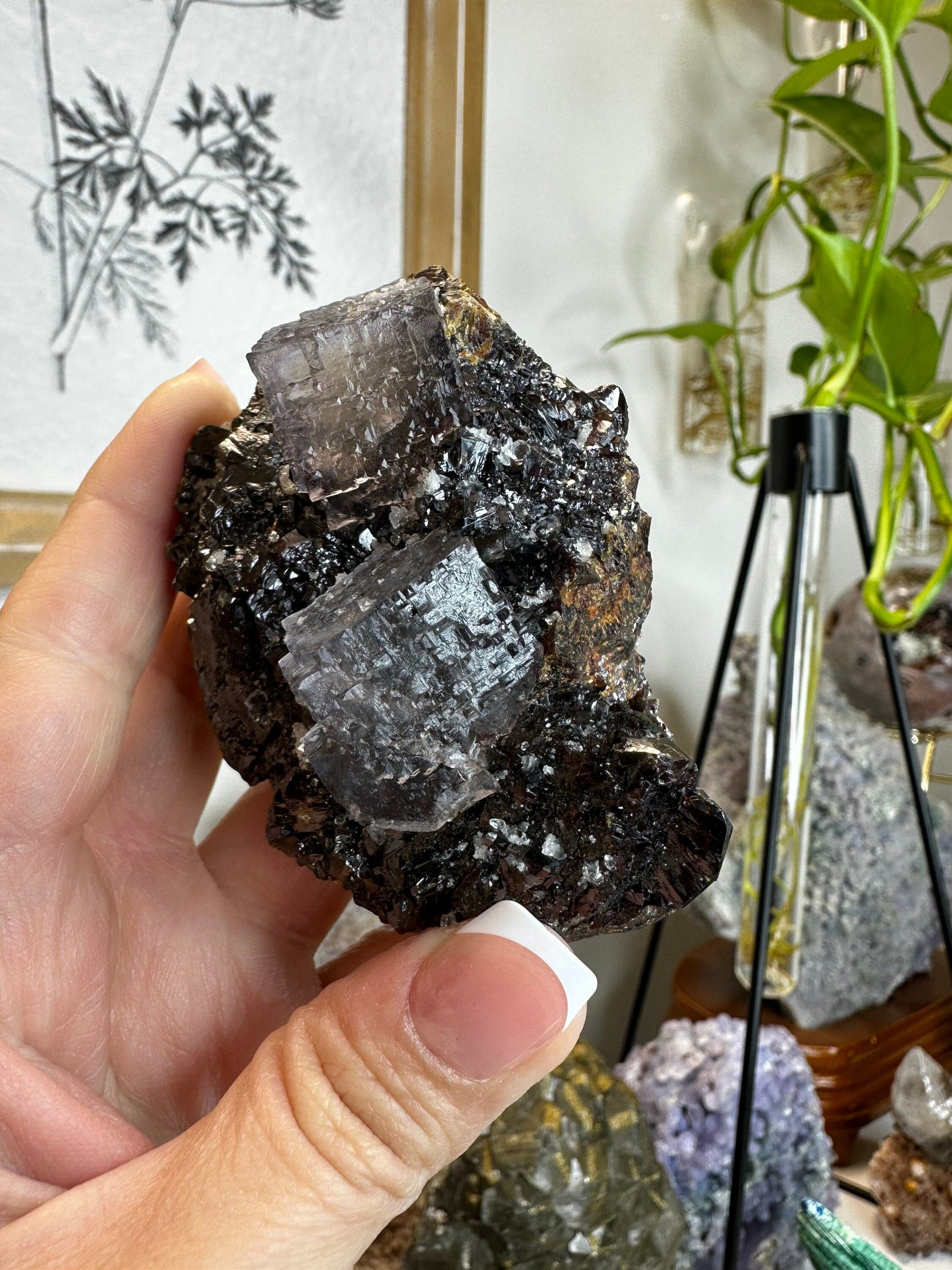 Sphalerite and Fluorite From the Elmwood Mine in Carthage Co, Tennessee