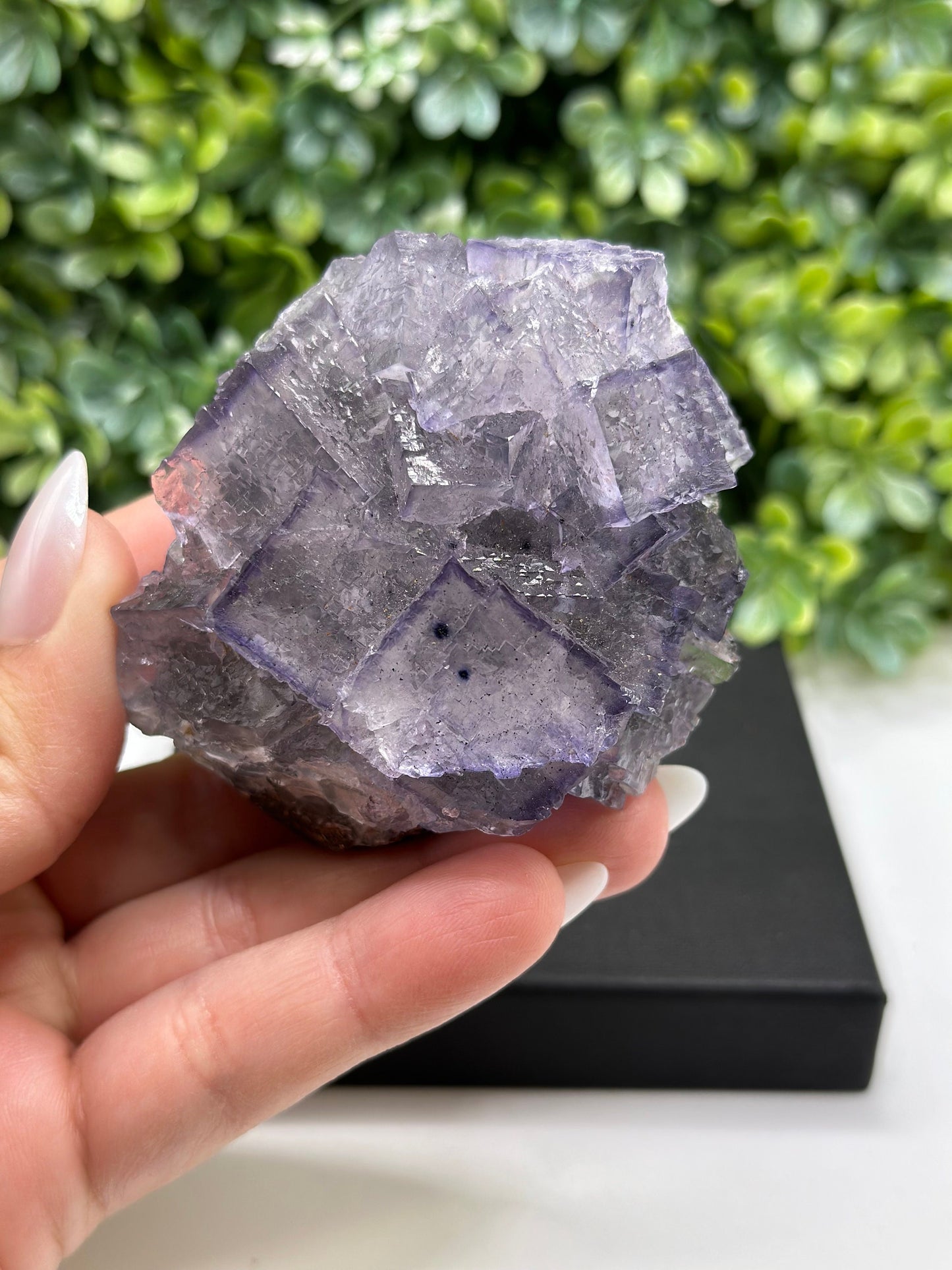 Fluorite Sphalerite Gordonsville-Elmwood Mine Tennessee
