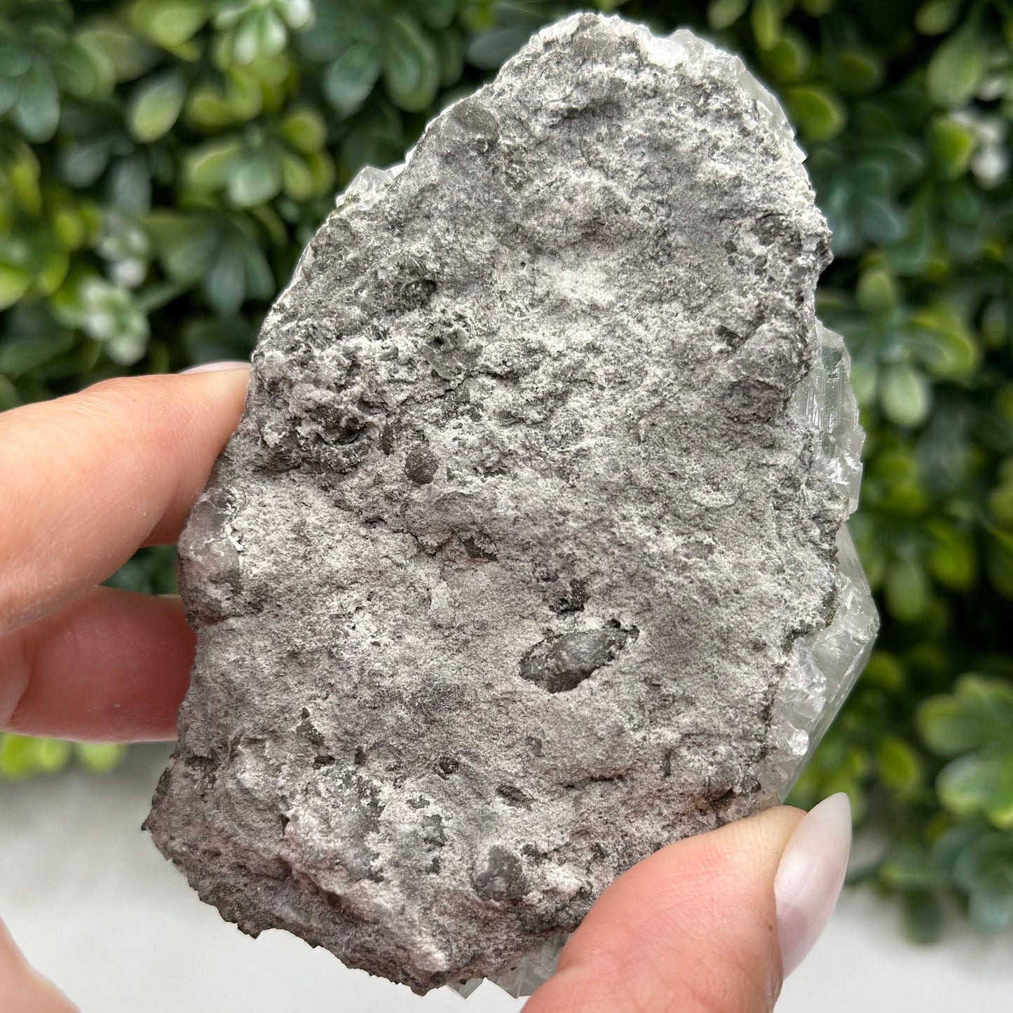 Calcite with Marcasite Linwood Mine, Buffalo, Scott County, Iowa