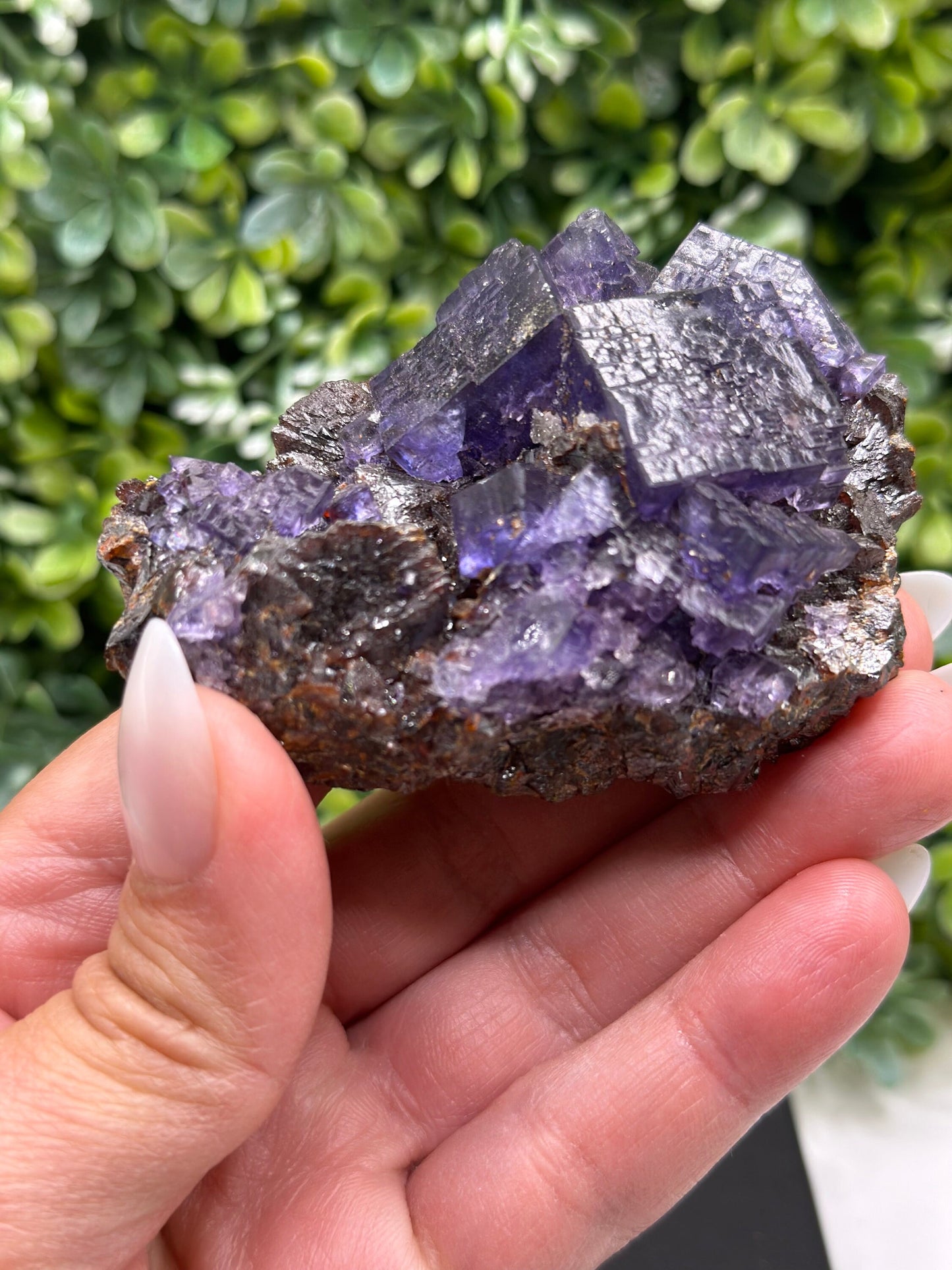 Fluorite with Sphalerite Gordonsville-Elmwood Mine, Tennessee
