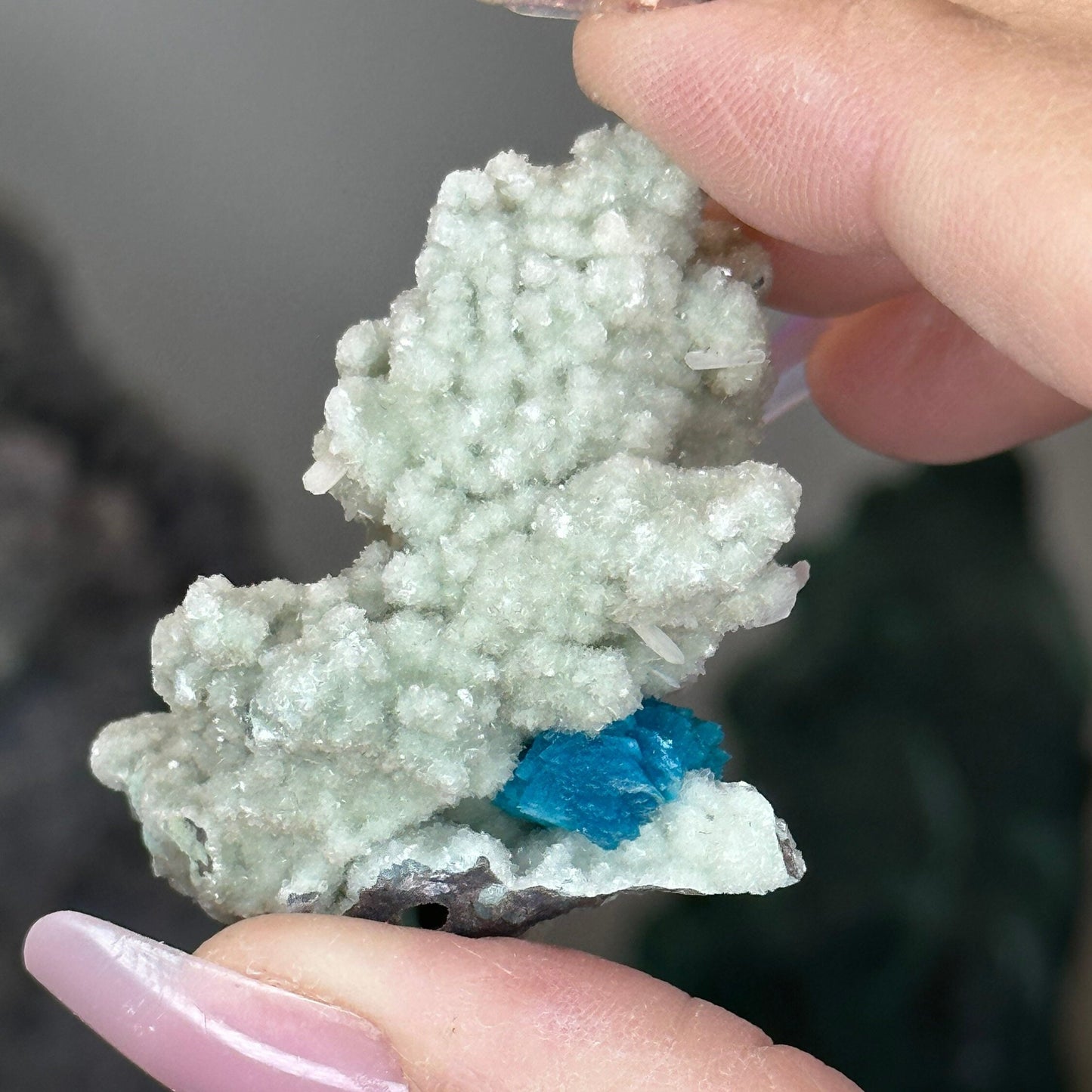 Natural Blue Cavansite Flower Cluster – Collector’s Mineral from India