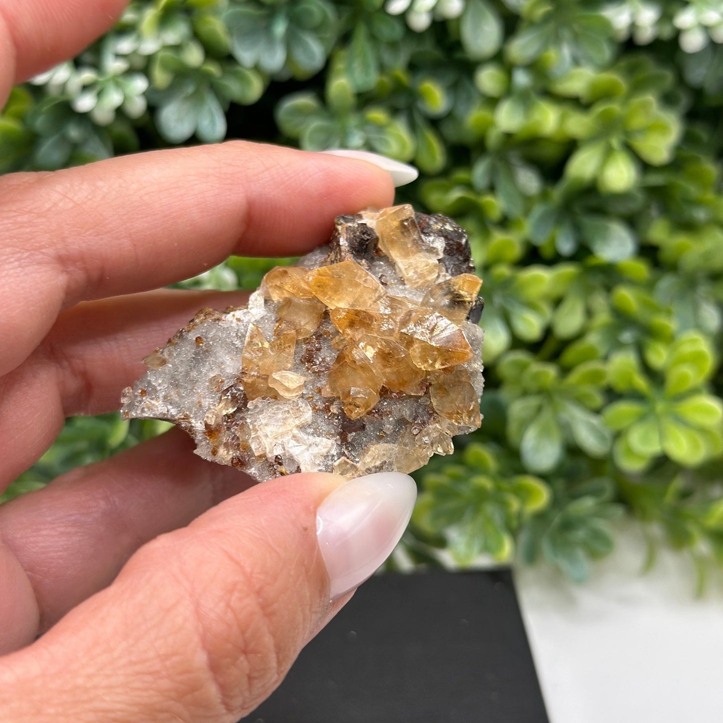 Calcite Sphalerite Quartz Gordonsville Mine, Smith County Tennessee