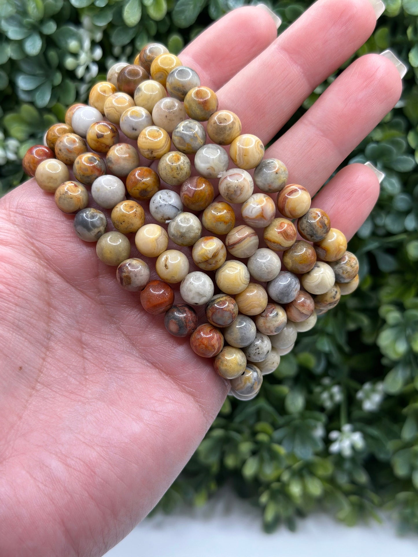 Crazy Lace Agate 8mm crystal beaded bracelet