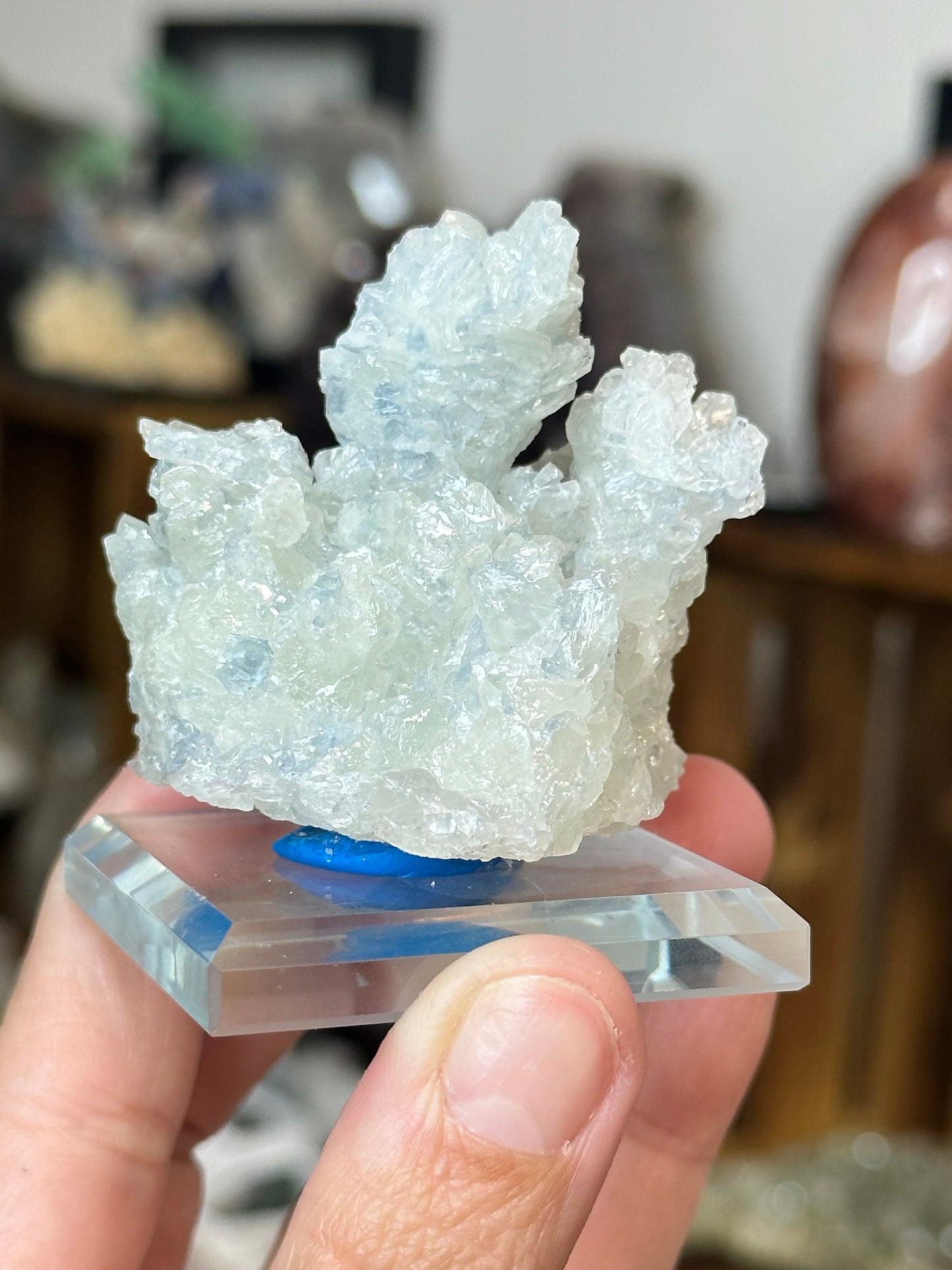 Crystalized Blue aragonite ~ Mexico