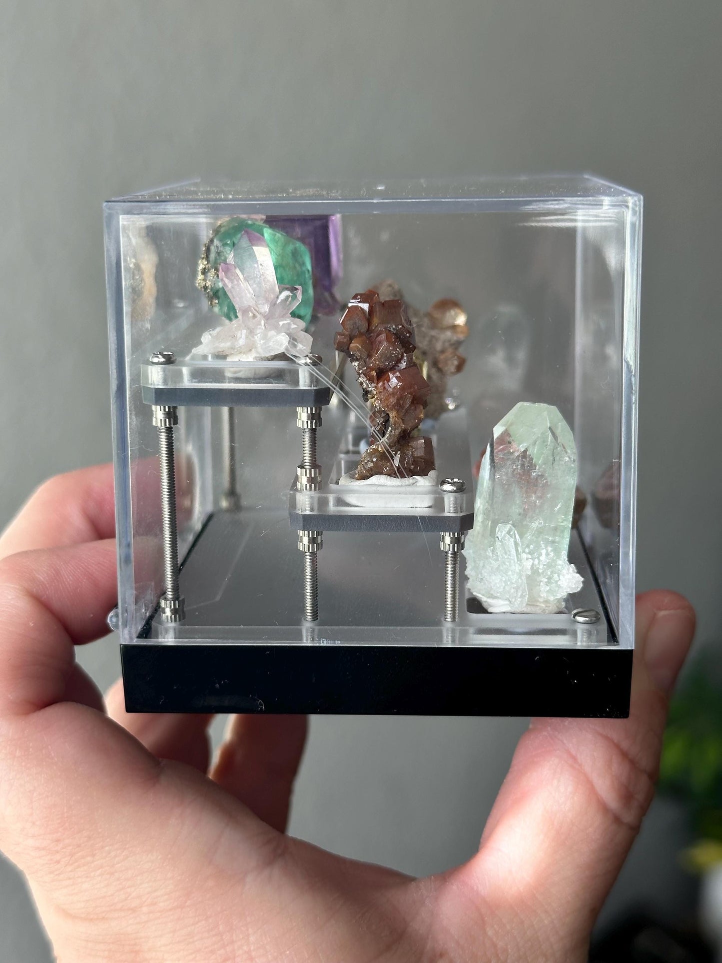 Mixed Mineral Specimen Perky Box, collectors edition