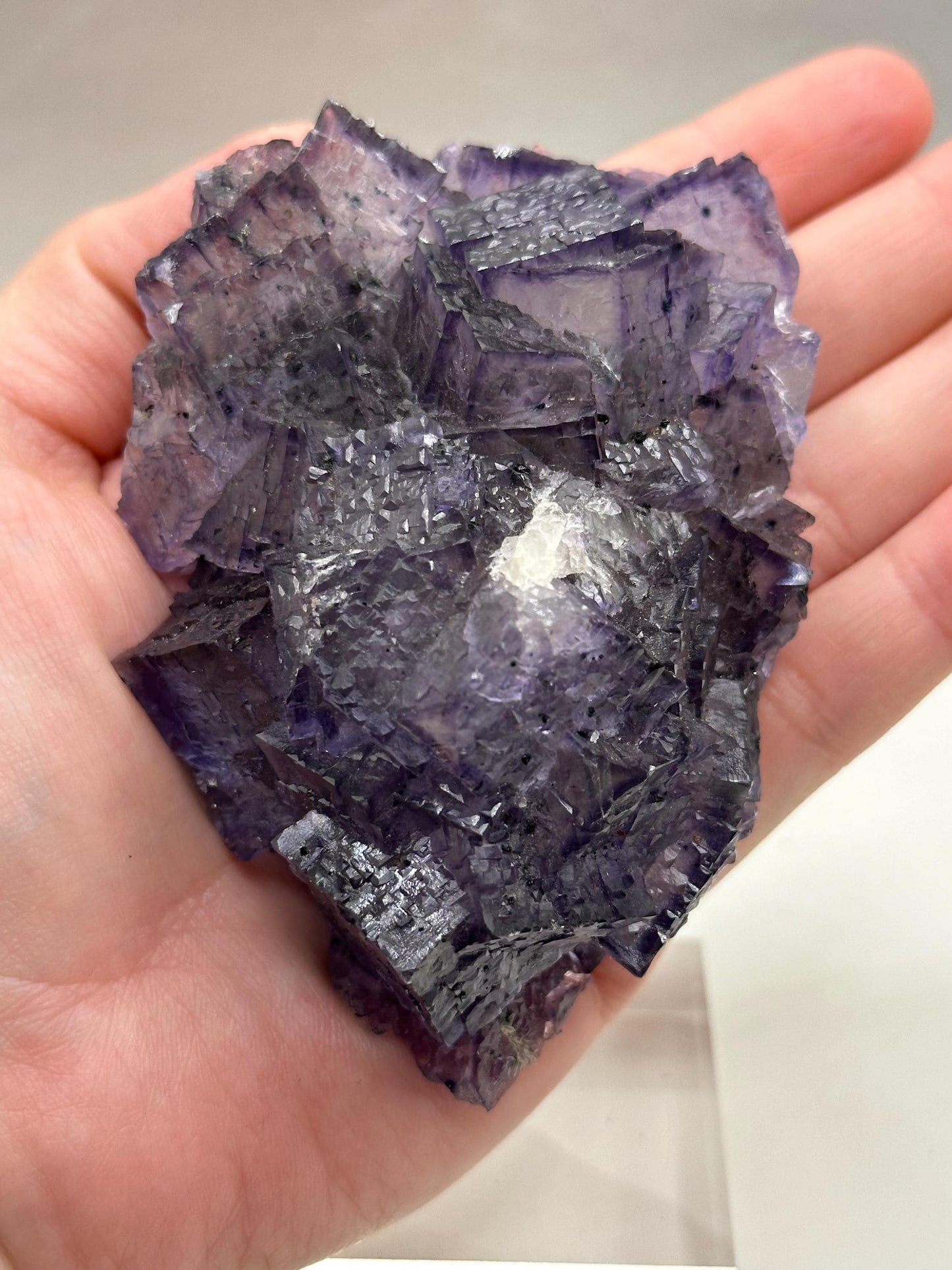 Large Fluorite Crystals on Sphalerite, Gordonsville Mine, Elmwood, Tennessee