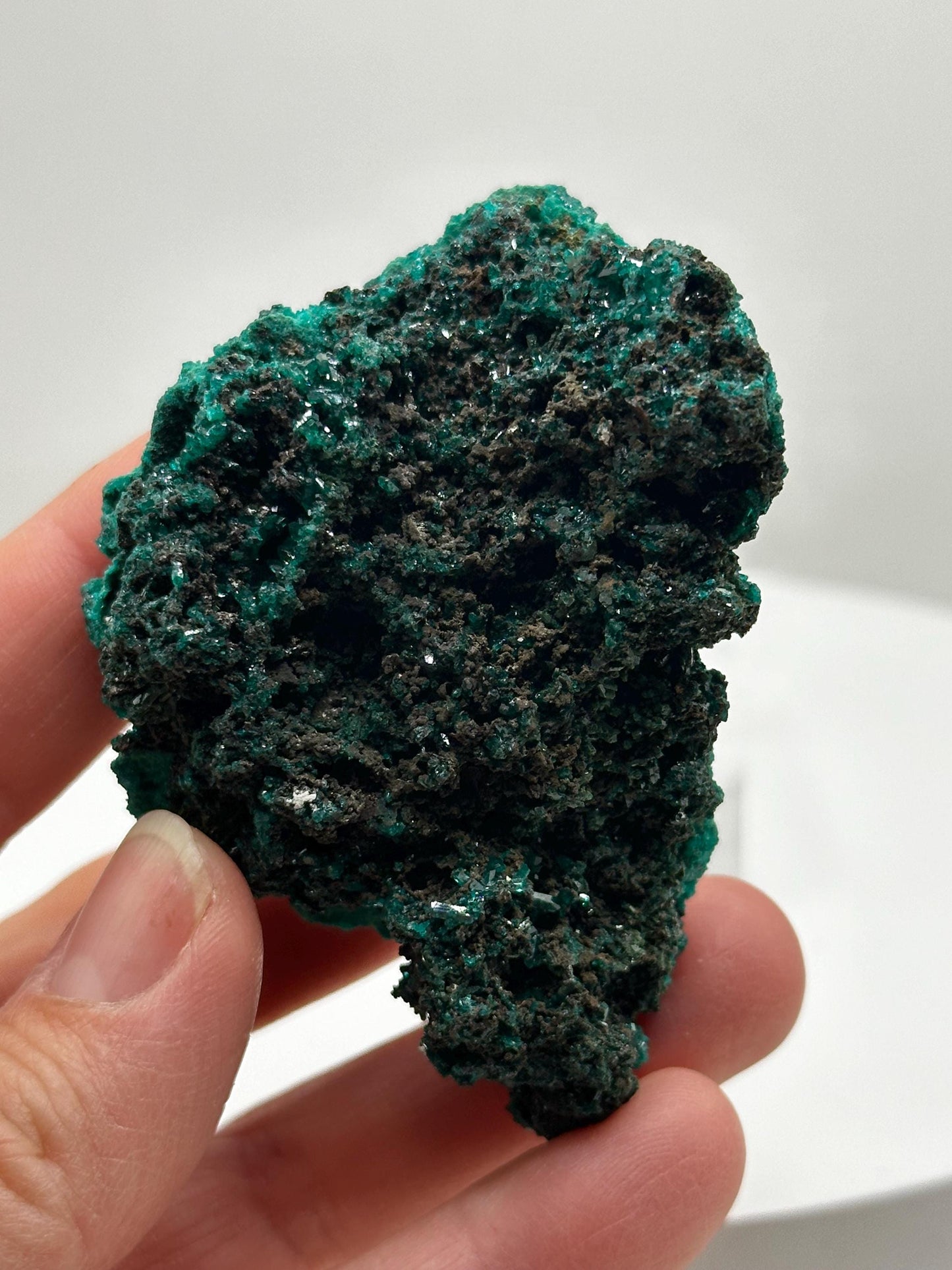 Dioptase Crystal Mineral specimen from Congo