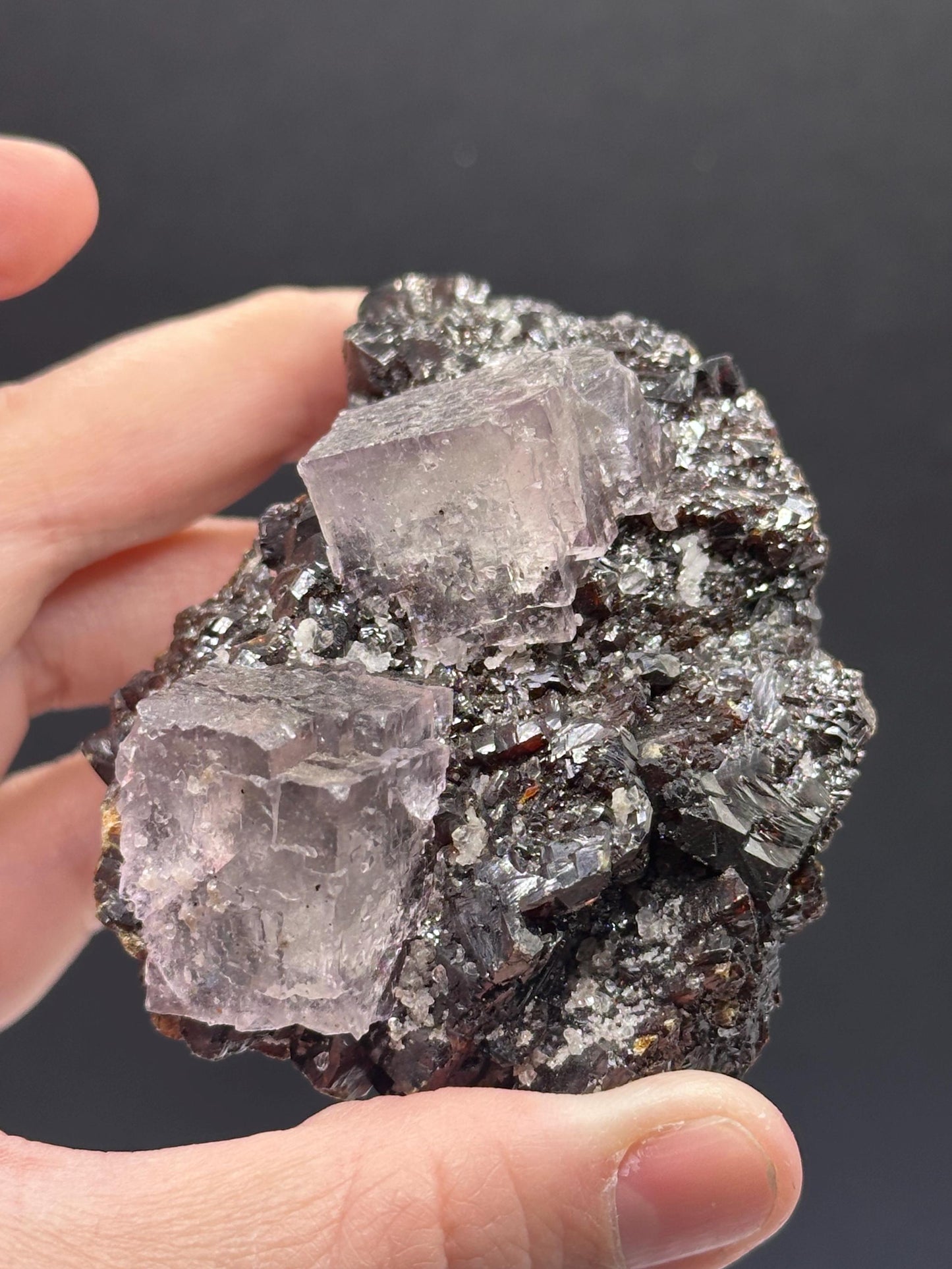 Sphalerite and Fluorite From the Elmwood Mine in Carthage Co, Tennessee