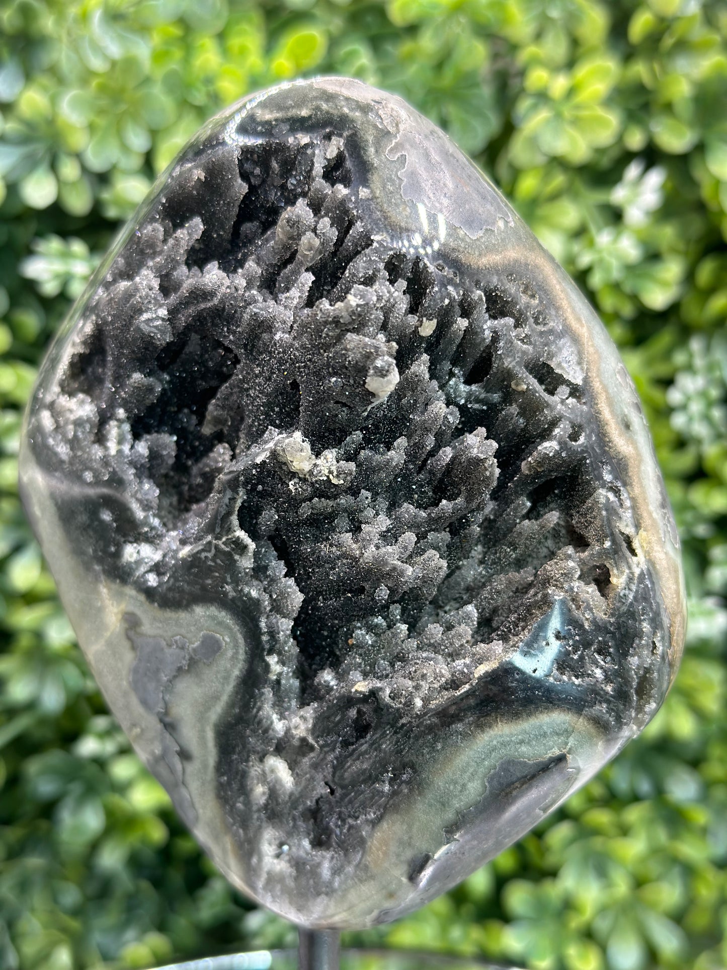 Galaxy Amethyst on Metal stand (Uruguay)