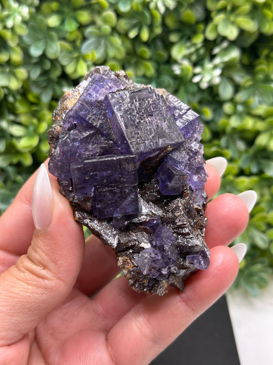 Fluorite with Sphalerite Gordonsville-Elmwood Mine, Tennessee