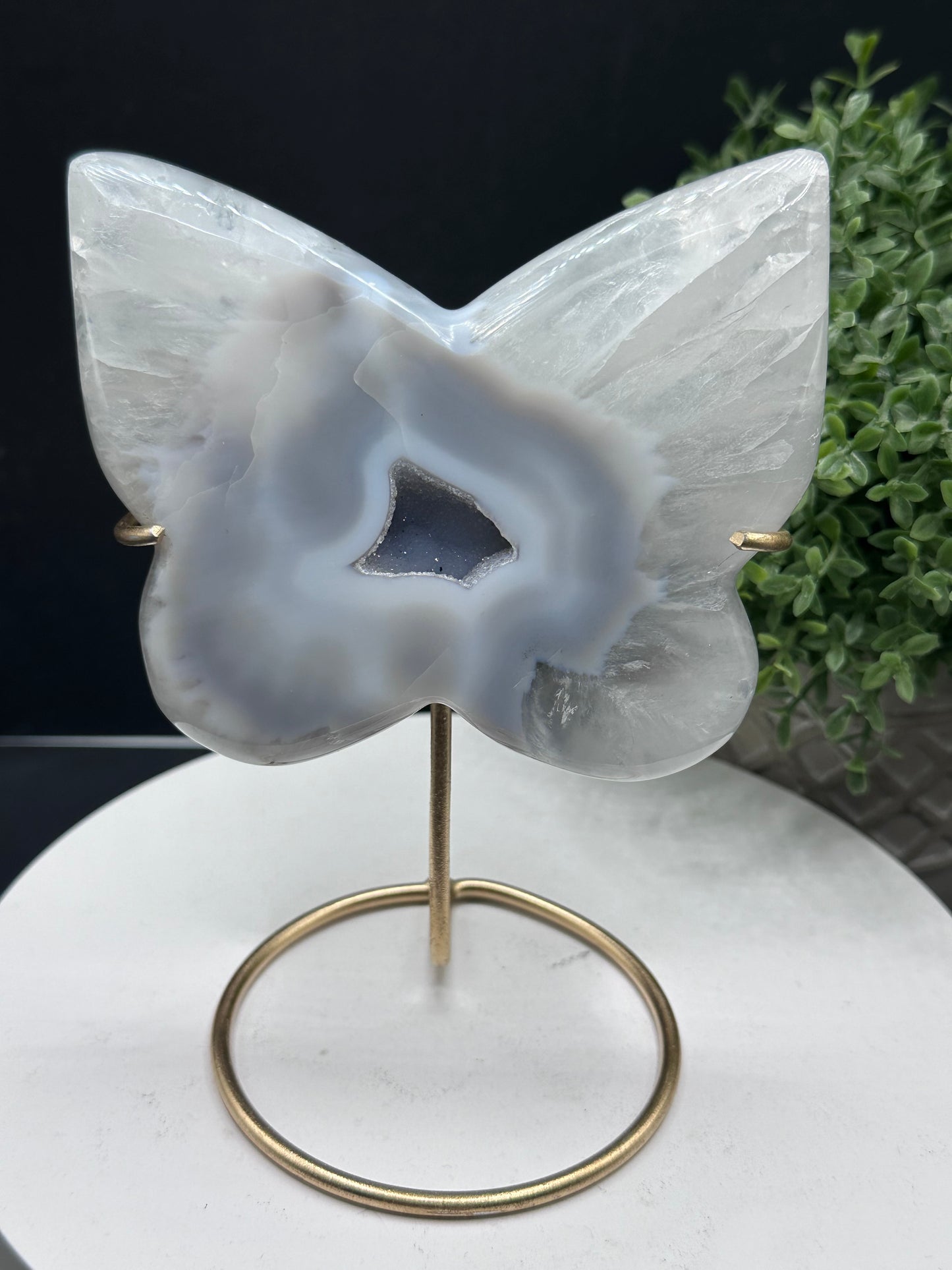 Druzy Agate Quartz Butterfly Carving [Brazil]
