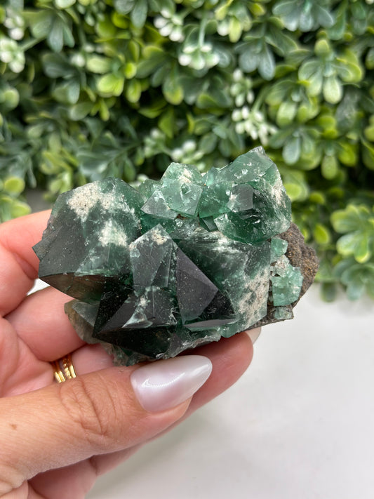 Fluorite Heavy Metal Pocket, Diana Maria Mine, Frosterley, Weardale Co. Durham, England