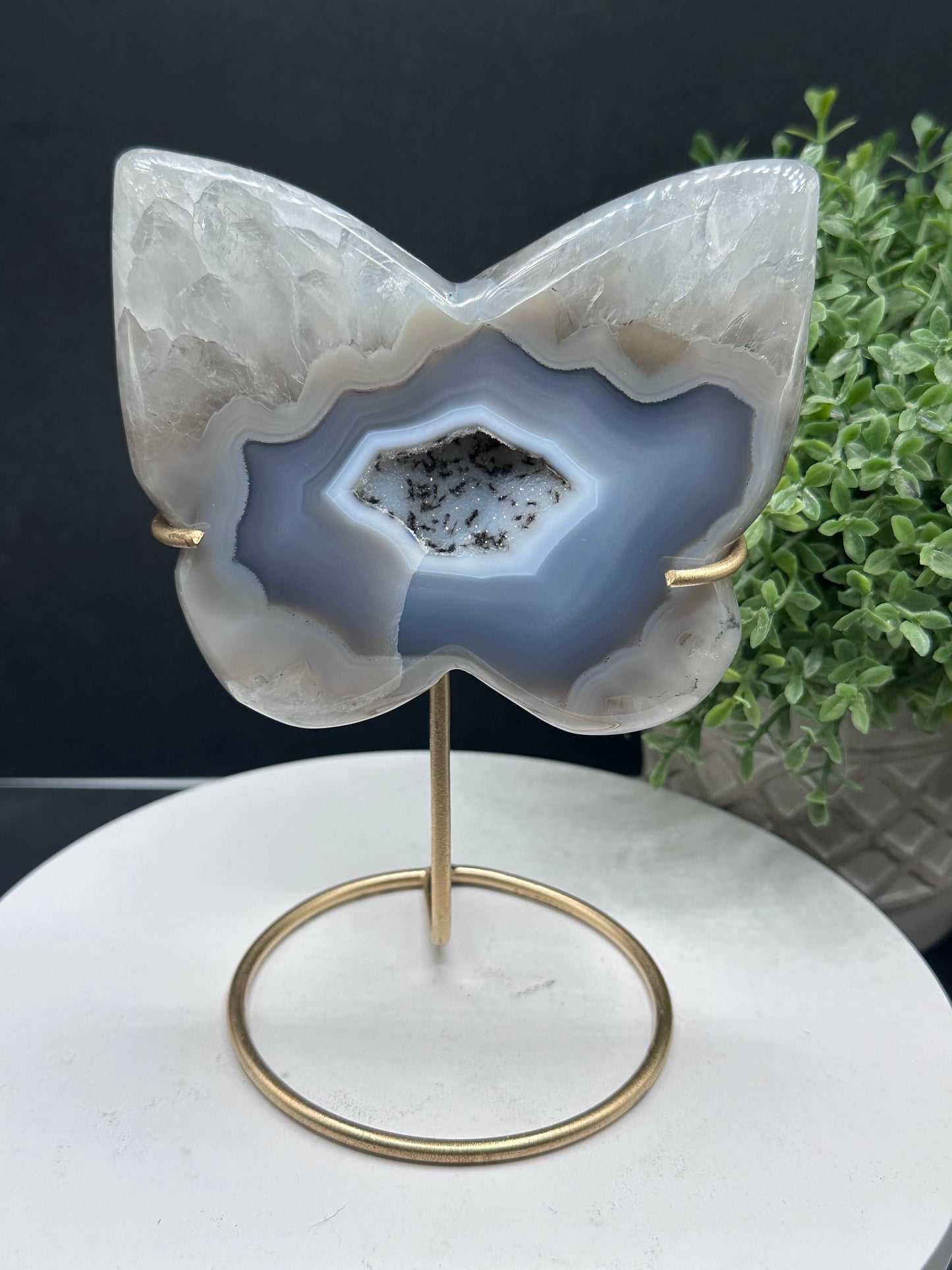 Druzy Agate Quartz Butterfly Carving [Brazil]