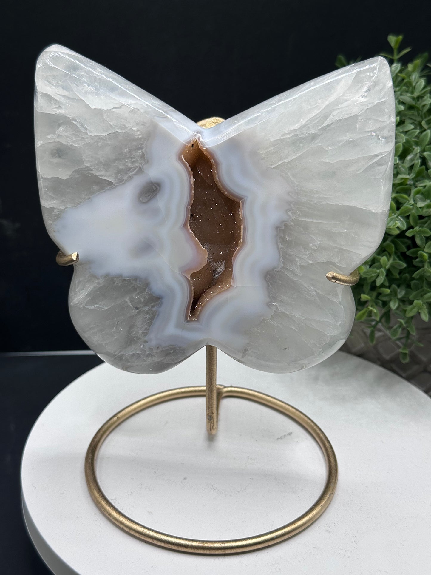 Druzy Agate Quartz Butterfly Carving [Brazil]