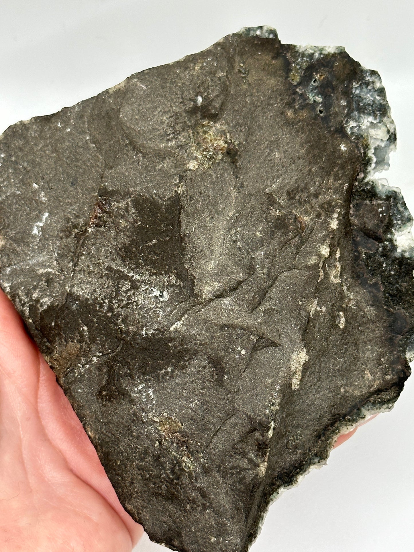 Druzy Chalcedony with Stilbite blades, India