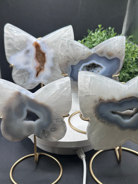 Druzy Agate Quartz Butterfly Carving [Brazil]