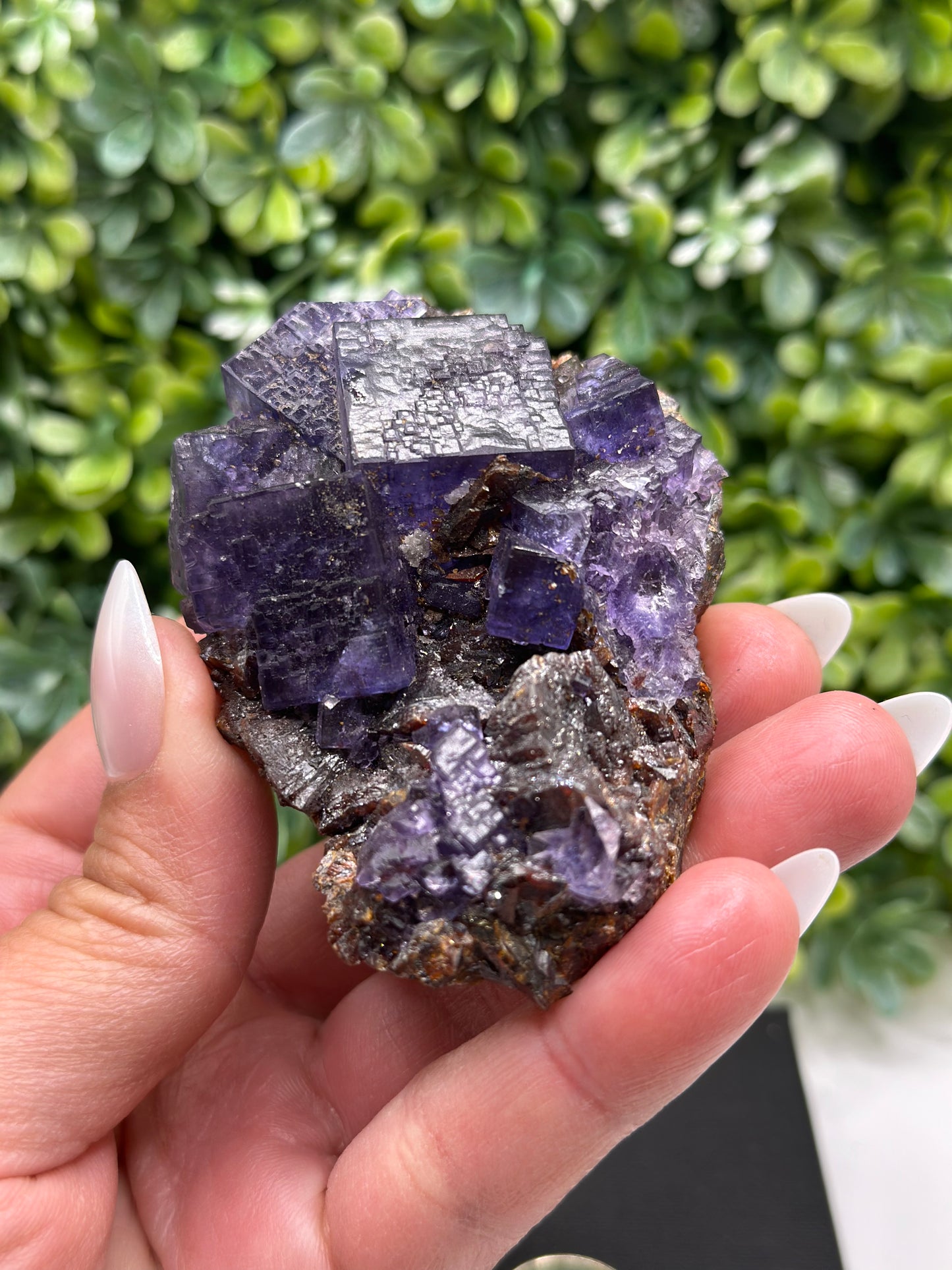 Fluorite with Sphalerite Gordonsville-Elmwood Mine, Tennessee