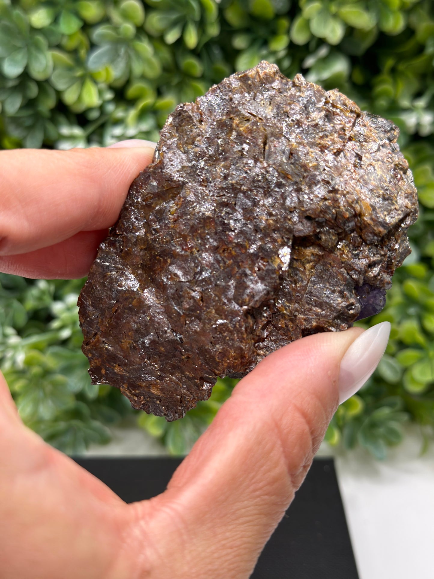 Fluorite with Sphalerite Gordonsville-Elmwood Mine, Tennessee