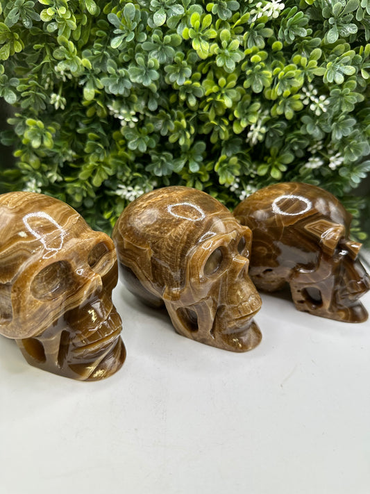 Chocolate Onyx Skull made in Mexico