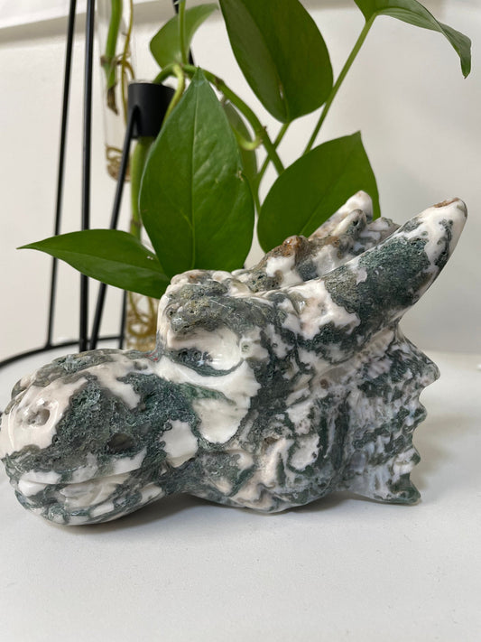 Tree Agate Dragon Crystal
