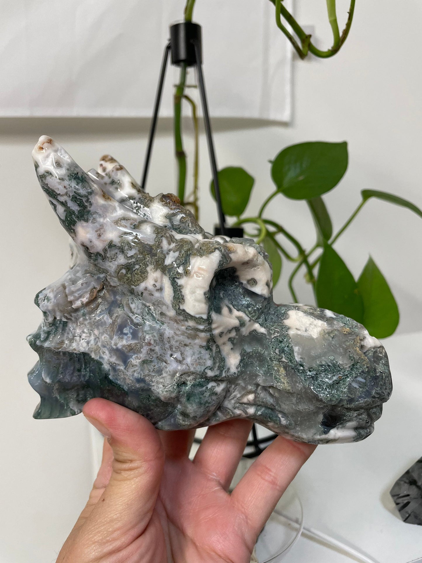 Tree Agate Dragon Crystal