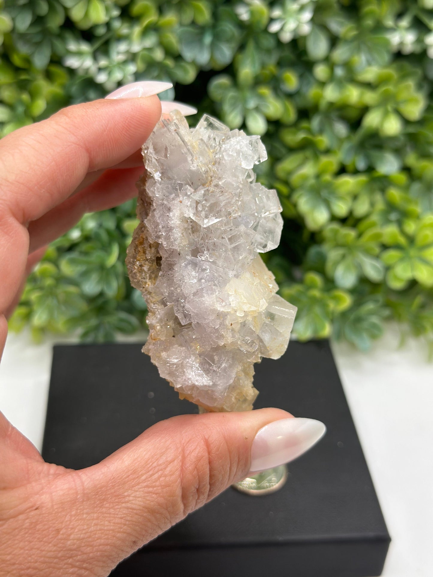 Fluorite, Calcite Emilio Mine, Asturias, Spain