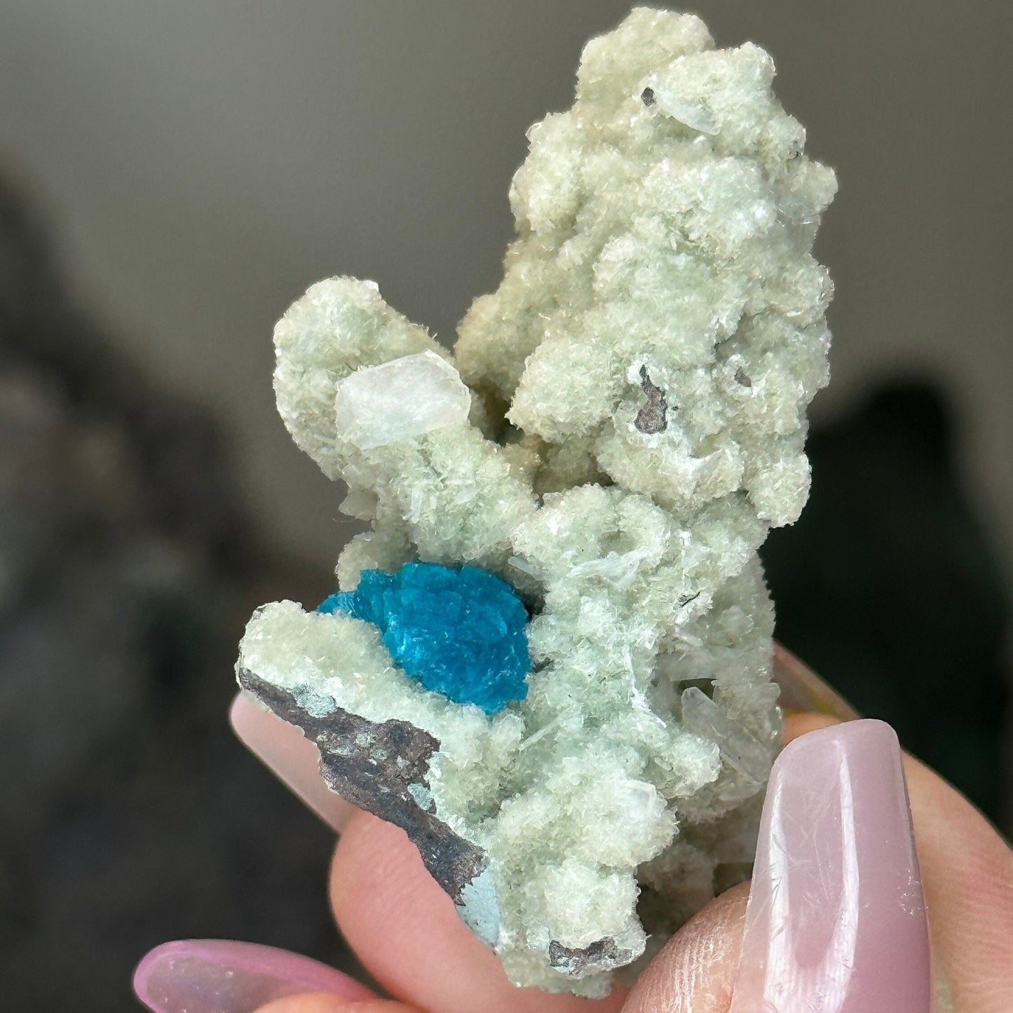 Natural Blue Cavansite Flower Cluster – Collector’s Mineral from India