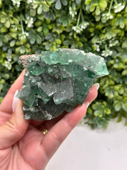 Fluorite Poison Ivy Pocket Lady Annabella Mine, Eastgate Weardale Co. Durham, England