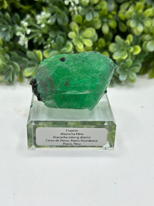 Fluorite Atacocha Mine, Atacocha Mining District Cerro de Pasco, Pasco Providence Pasco, Peru
