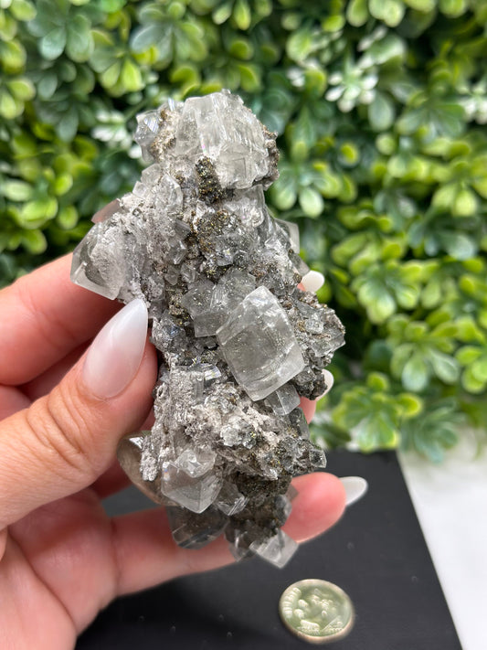 Calcite with Marcasite and Barite Linwood Mine, Buffalo, Scott County, Iowa