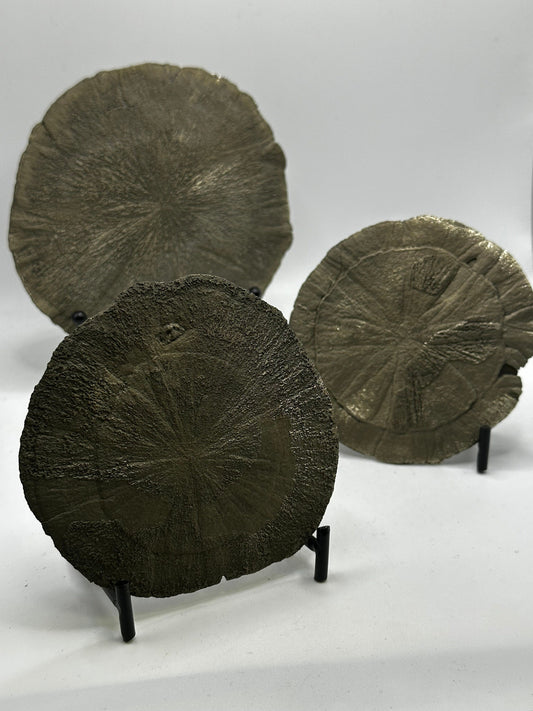 Pyrite Suns, Pyrite Dollars, Miner’s Dollars, or even Sun Dollars from Sparta, Illinois