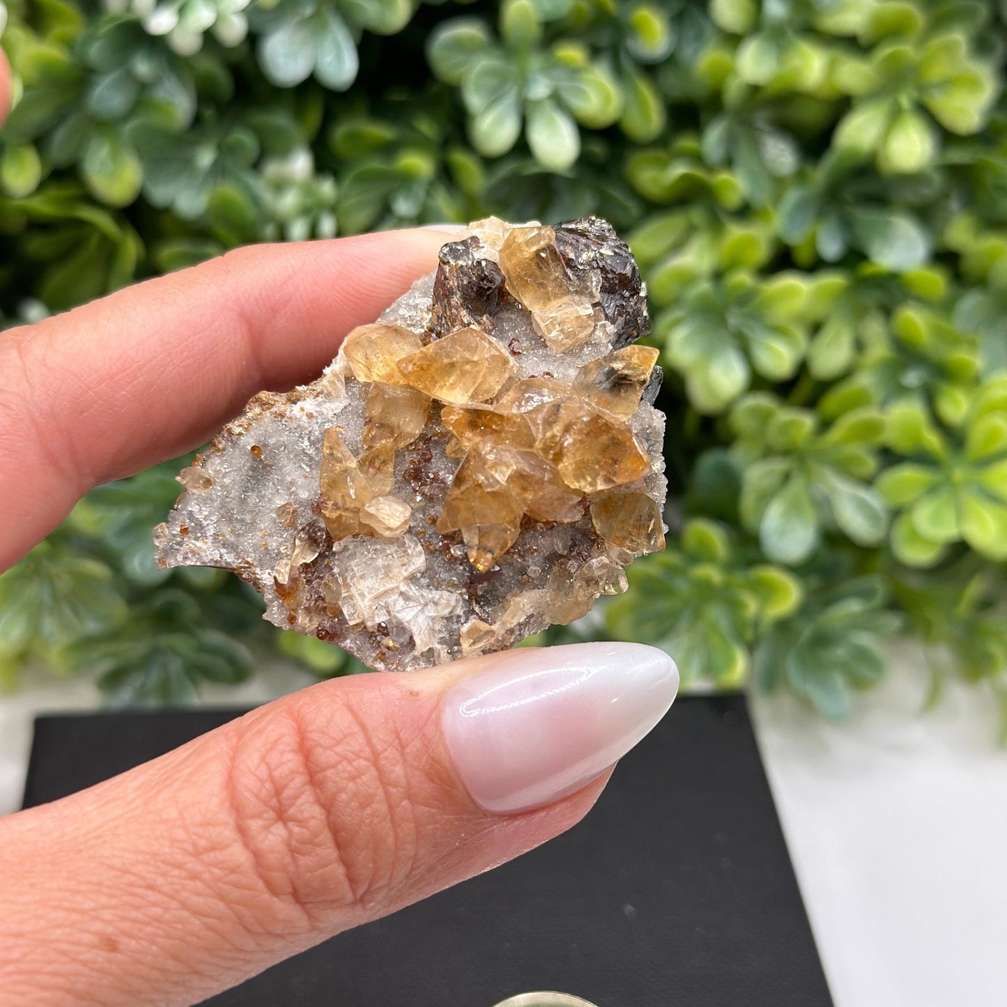 Calcite Sphalerite Quartz Gordonsville Mine, Smith County Tennessee