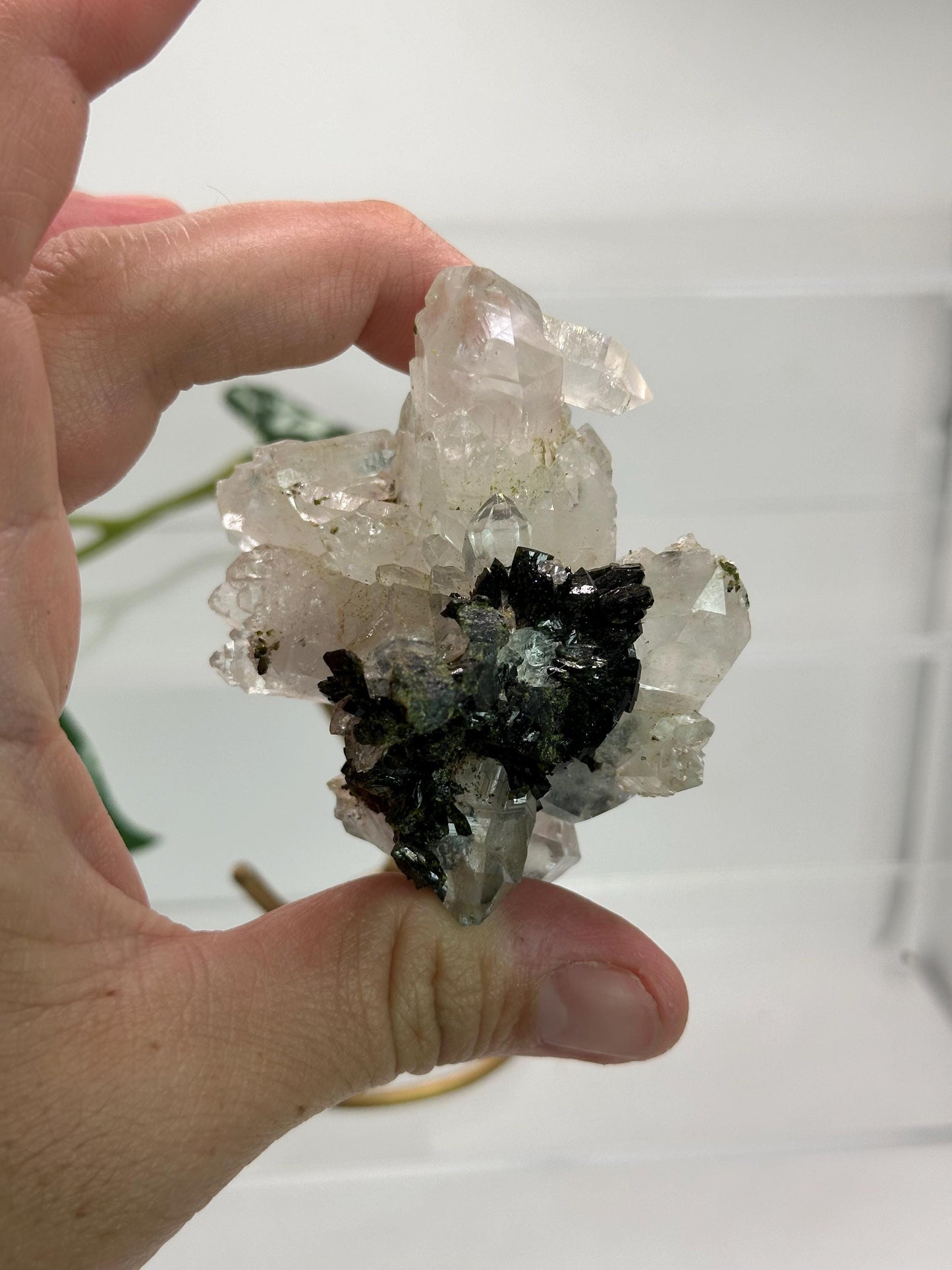 Epidote with Quartz from Hakkari Turkey, Mineral Collectors, Gift Idea, Green Quartz, Home Decor