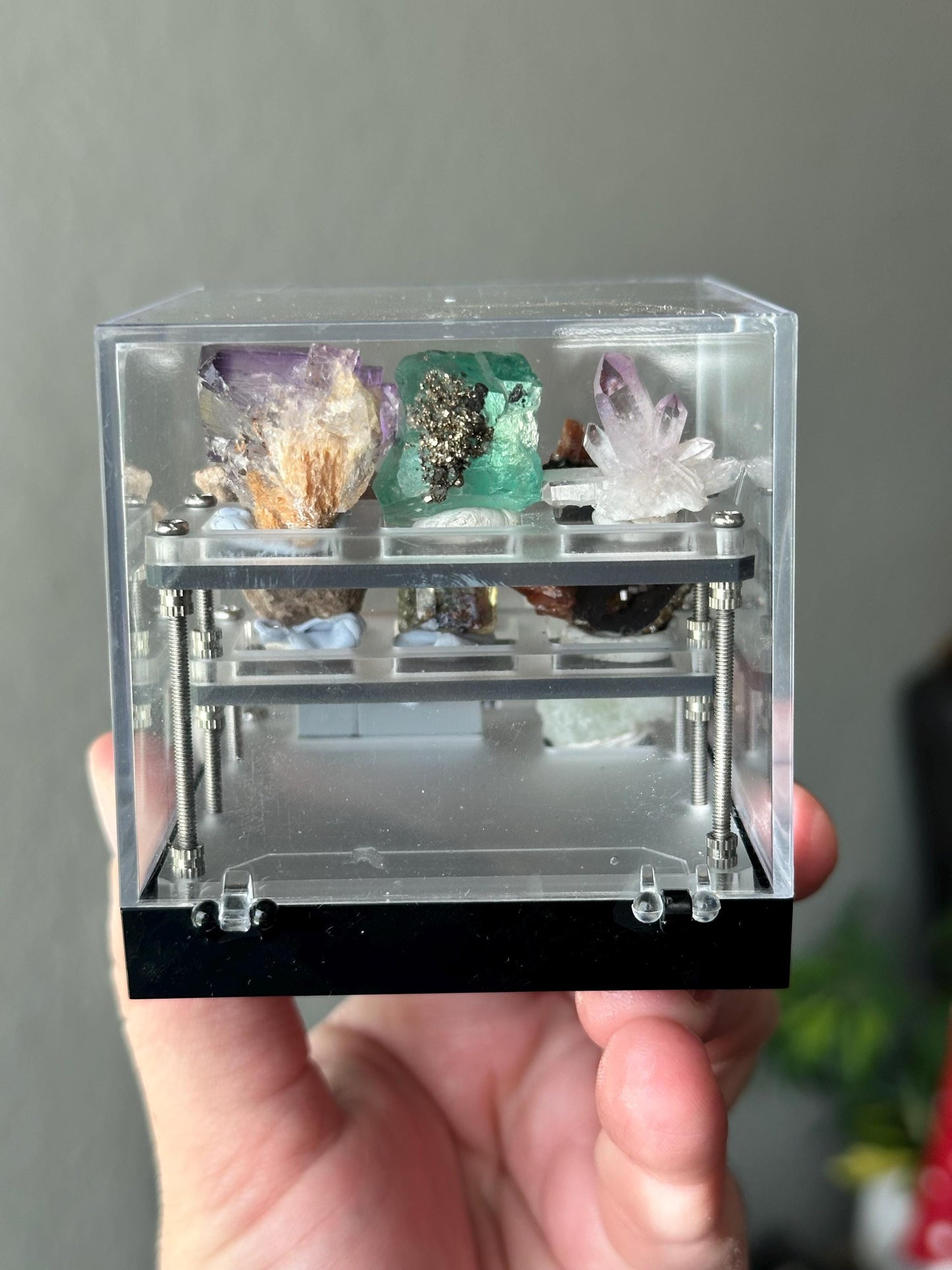 Mixed Mineral Specimen Perky Box, collectors edition