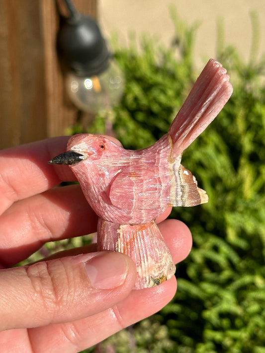 Rhodochrosite Bird Statue, Argentina, natural crystal stone