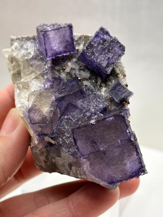 Nice Ruby Jack on this Fluorite Sphalerite and Dolomite Stonewall Mine, Carthage Smith County Tennessee