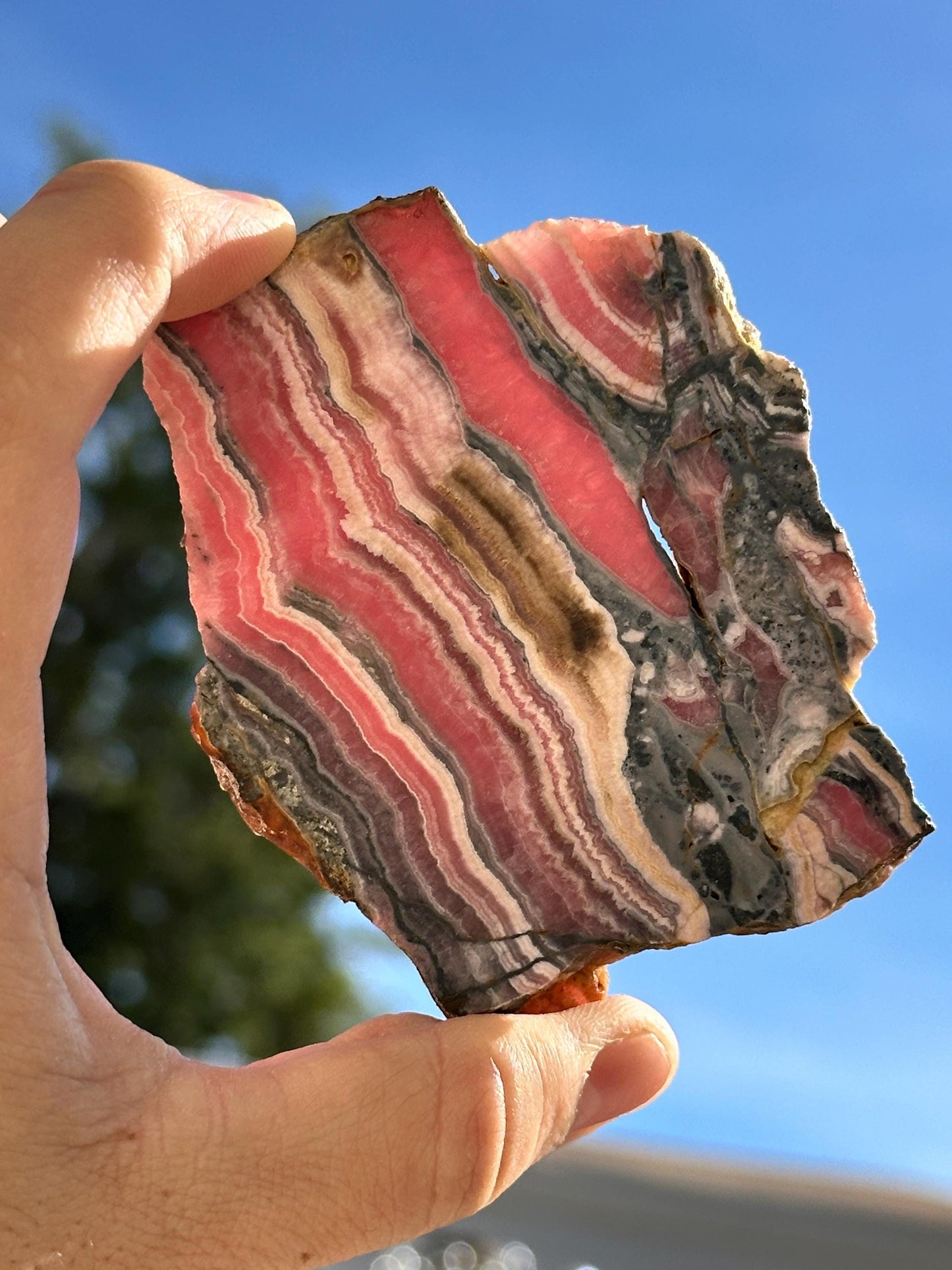 Rhodochrosite 1980's collection, Argentina